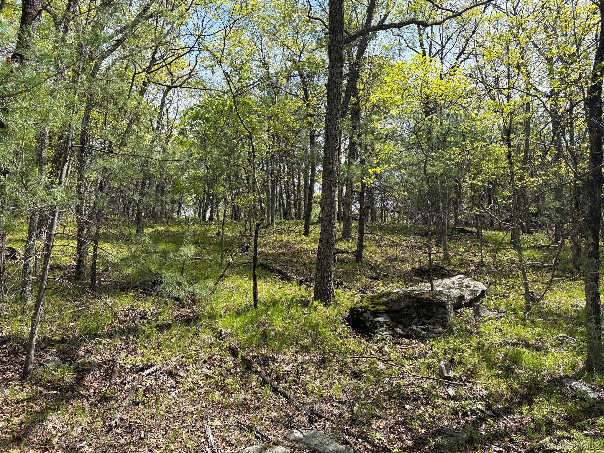 Route 28a Property Photo 10