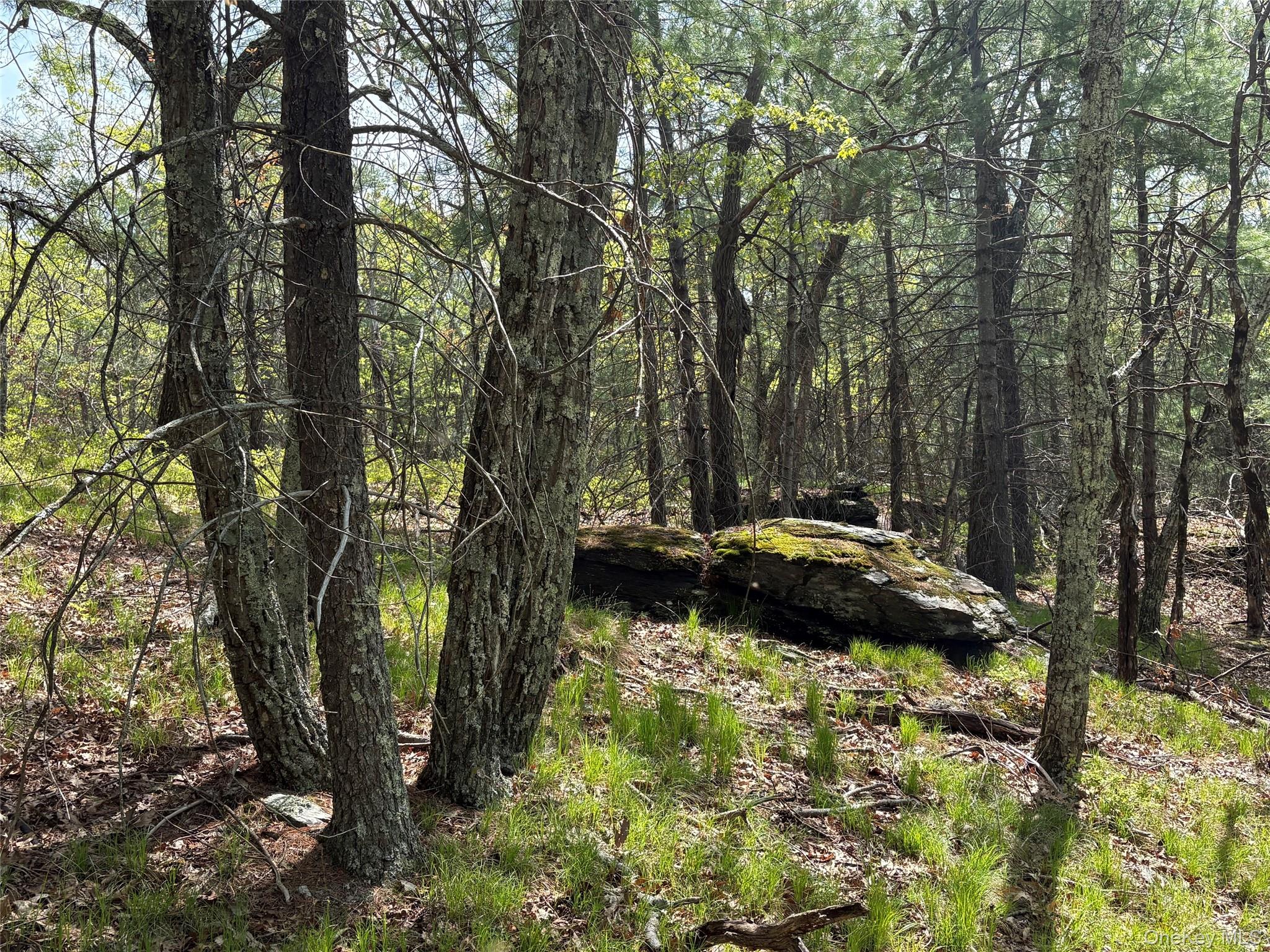 Route 28a Property Photo 11