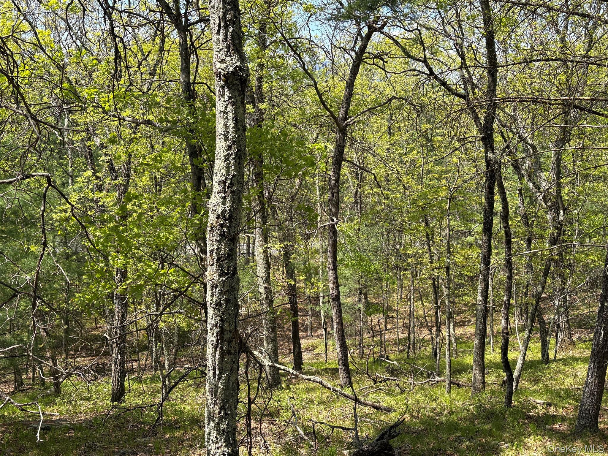 Route 28a Property Photo 12