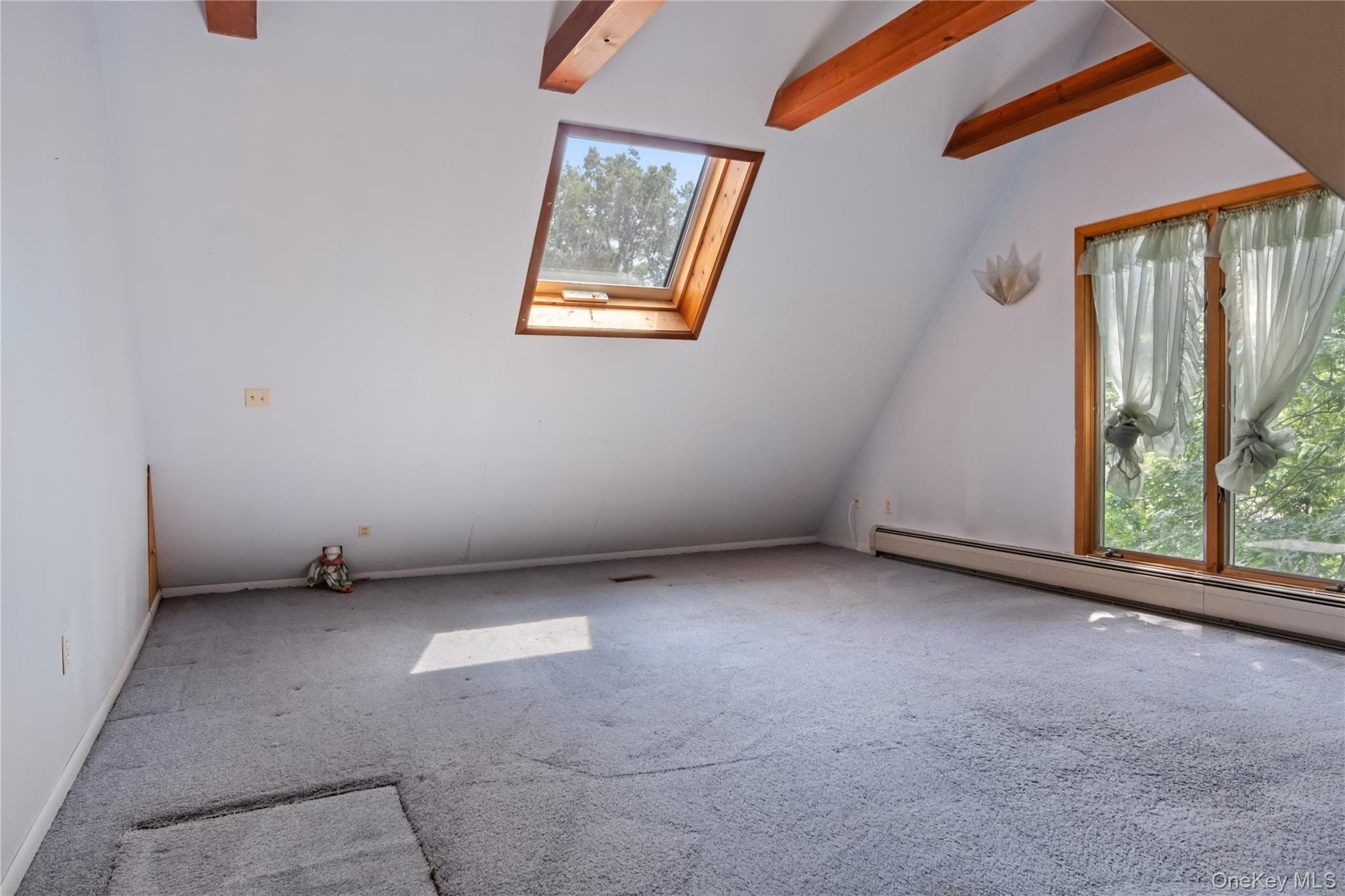 59 Jolliffe Avenue Property Photo 12