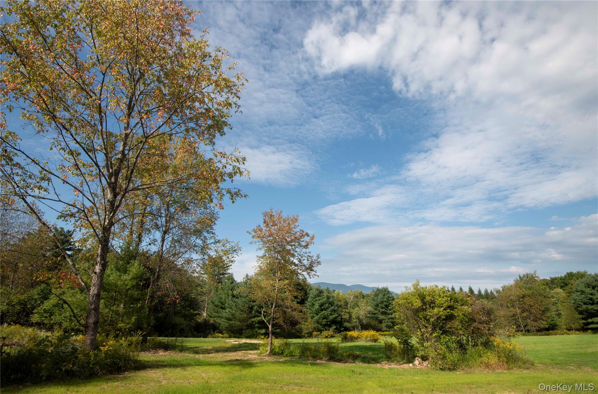 67 Baker Road Property Photo 44