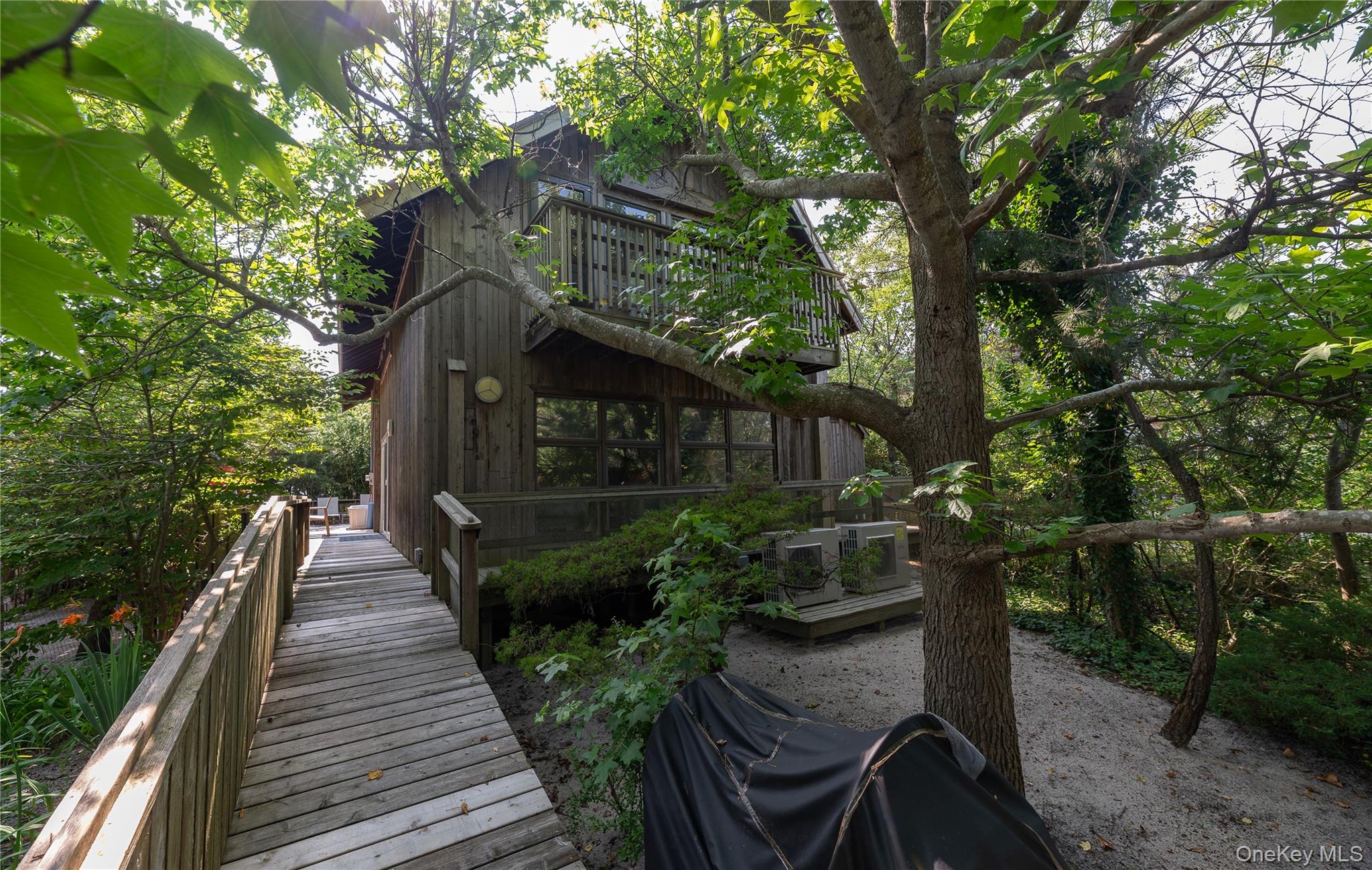 43 Ivy Avenue Property Photo 2
