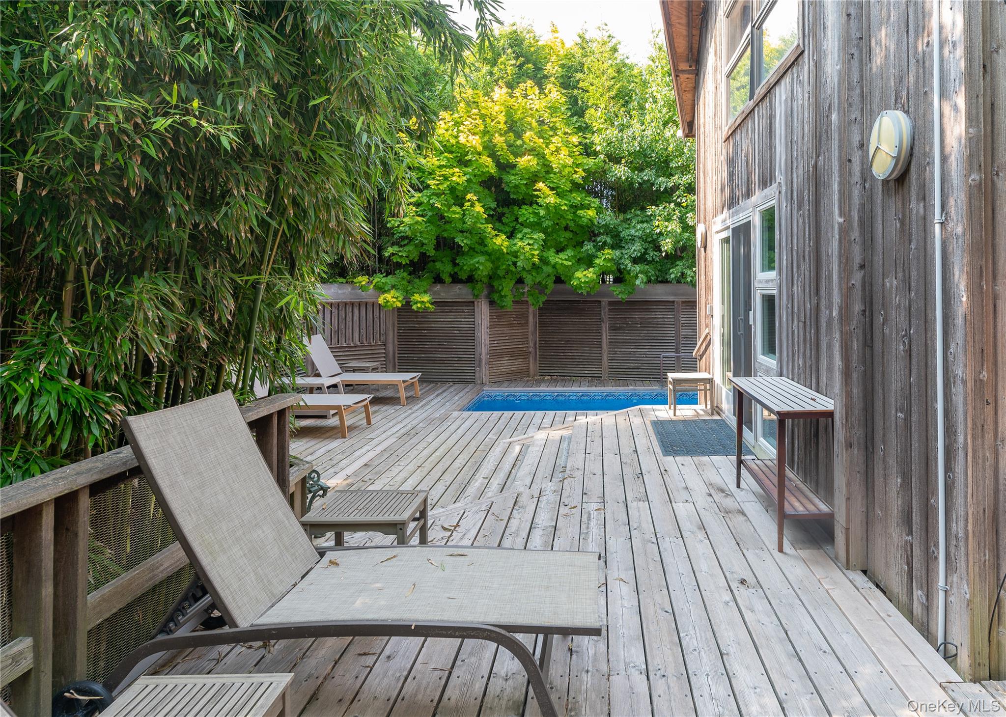 43 Ivy Avenue Property Photo 24