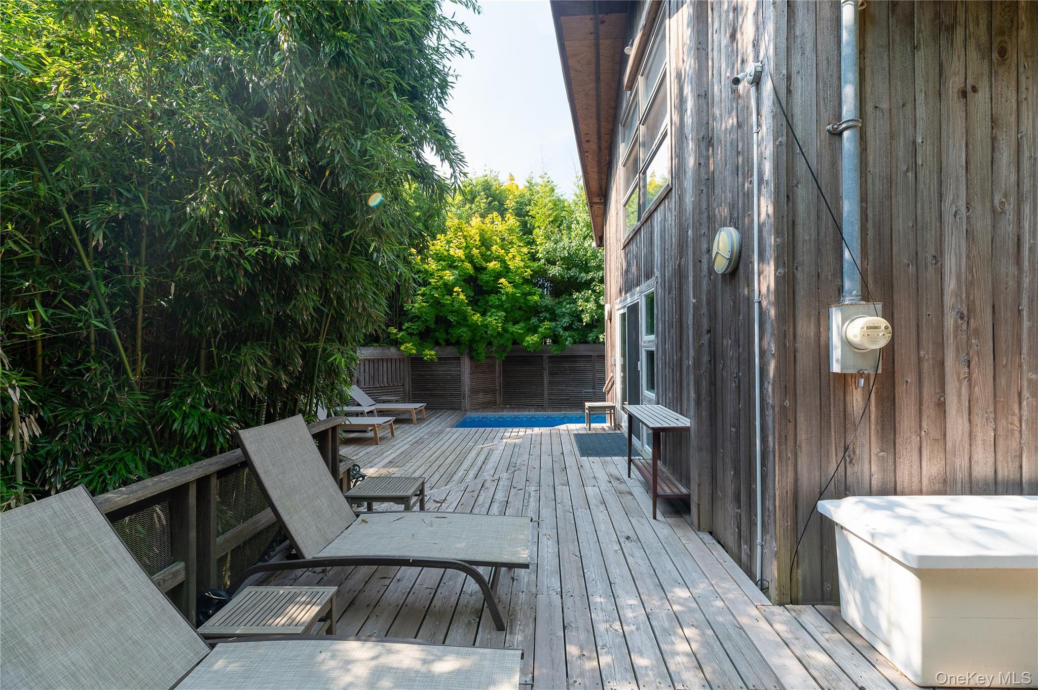 43 Ivy Avenue Property Photo 27