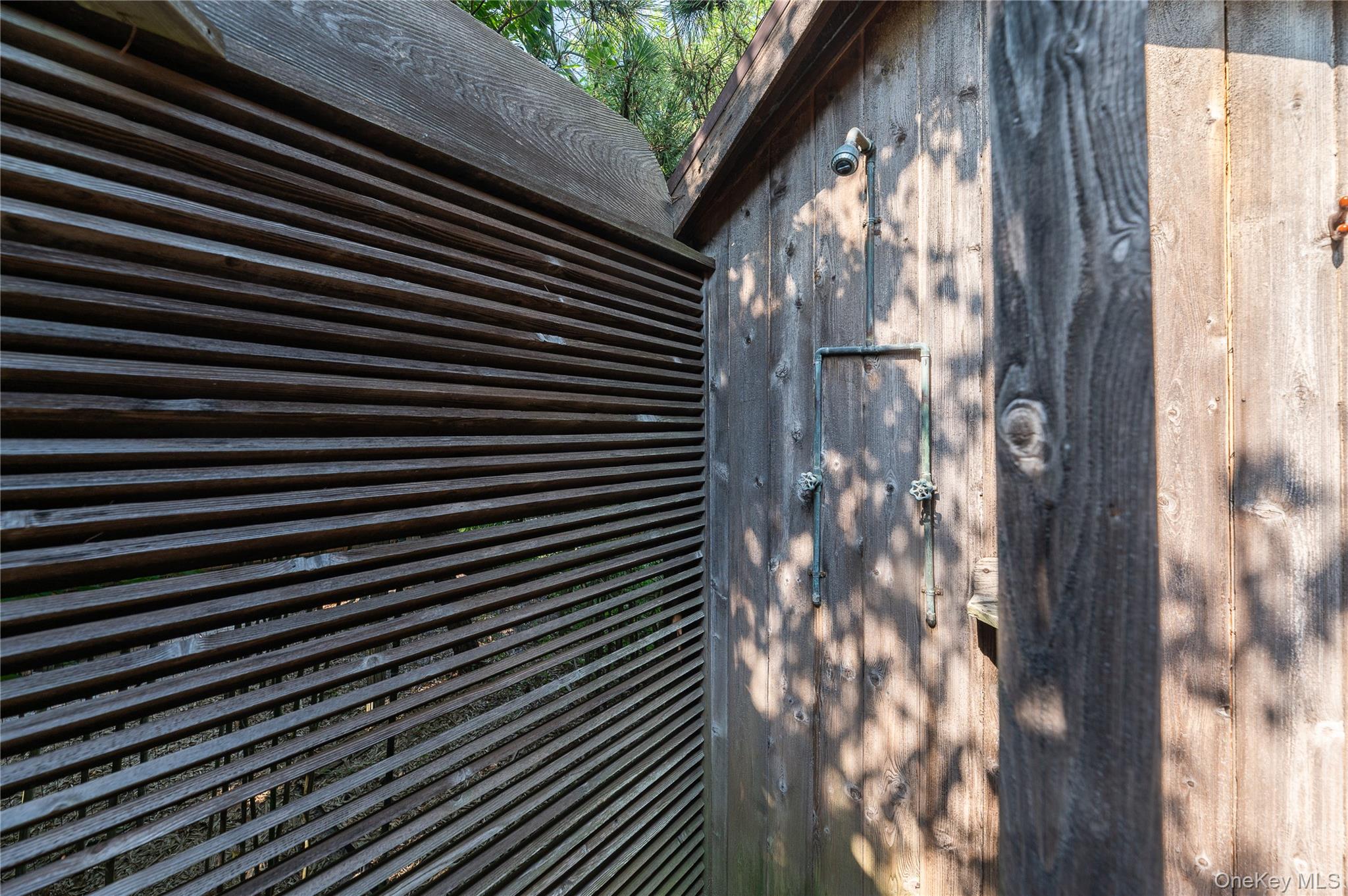 43 Ivy Avenue Property Photo 29