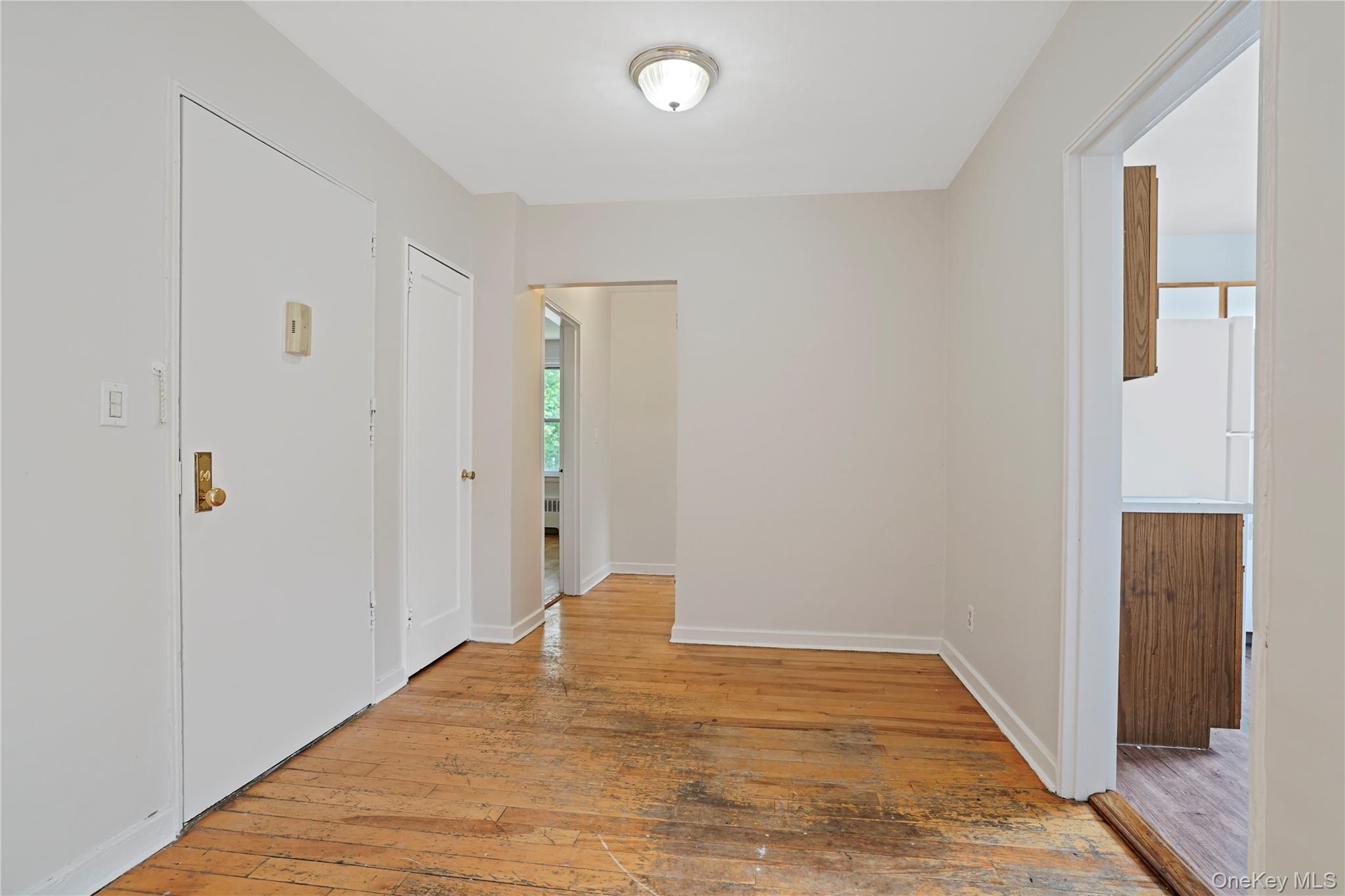 7 Winchester Avenue 2a Property Photo 3