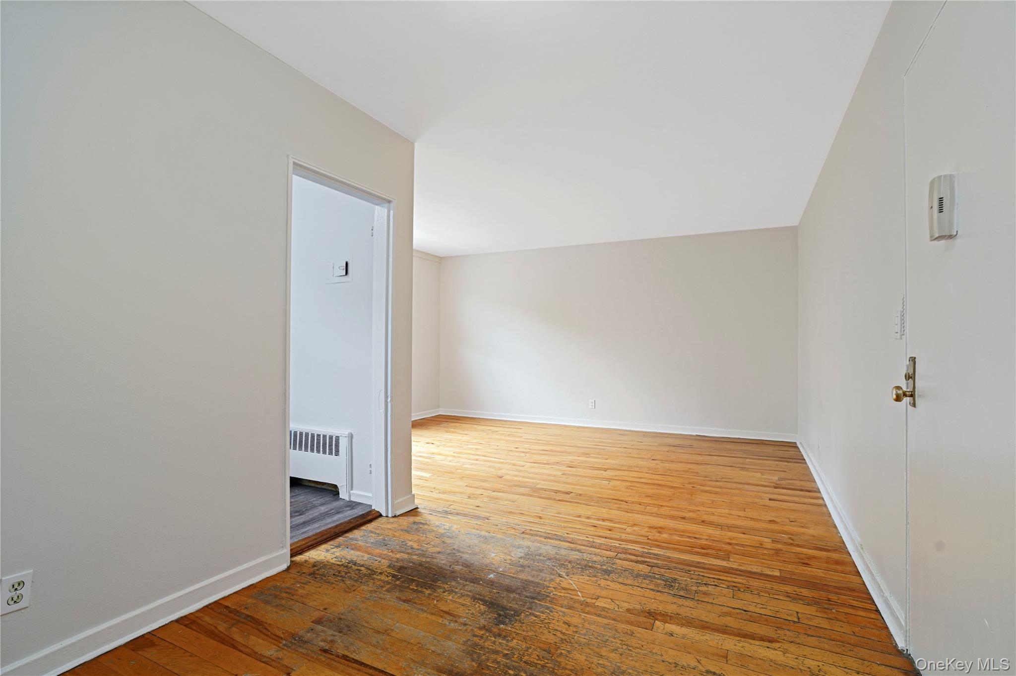 7 Winchester Avenue 2a Property Photo 4