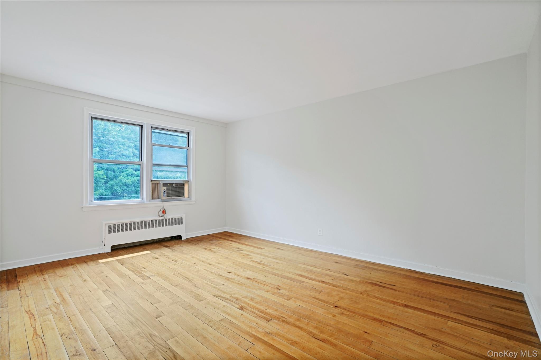 7 Winchester Avenue 2a Property Photo 5