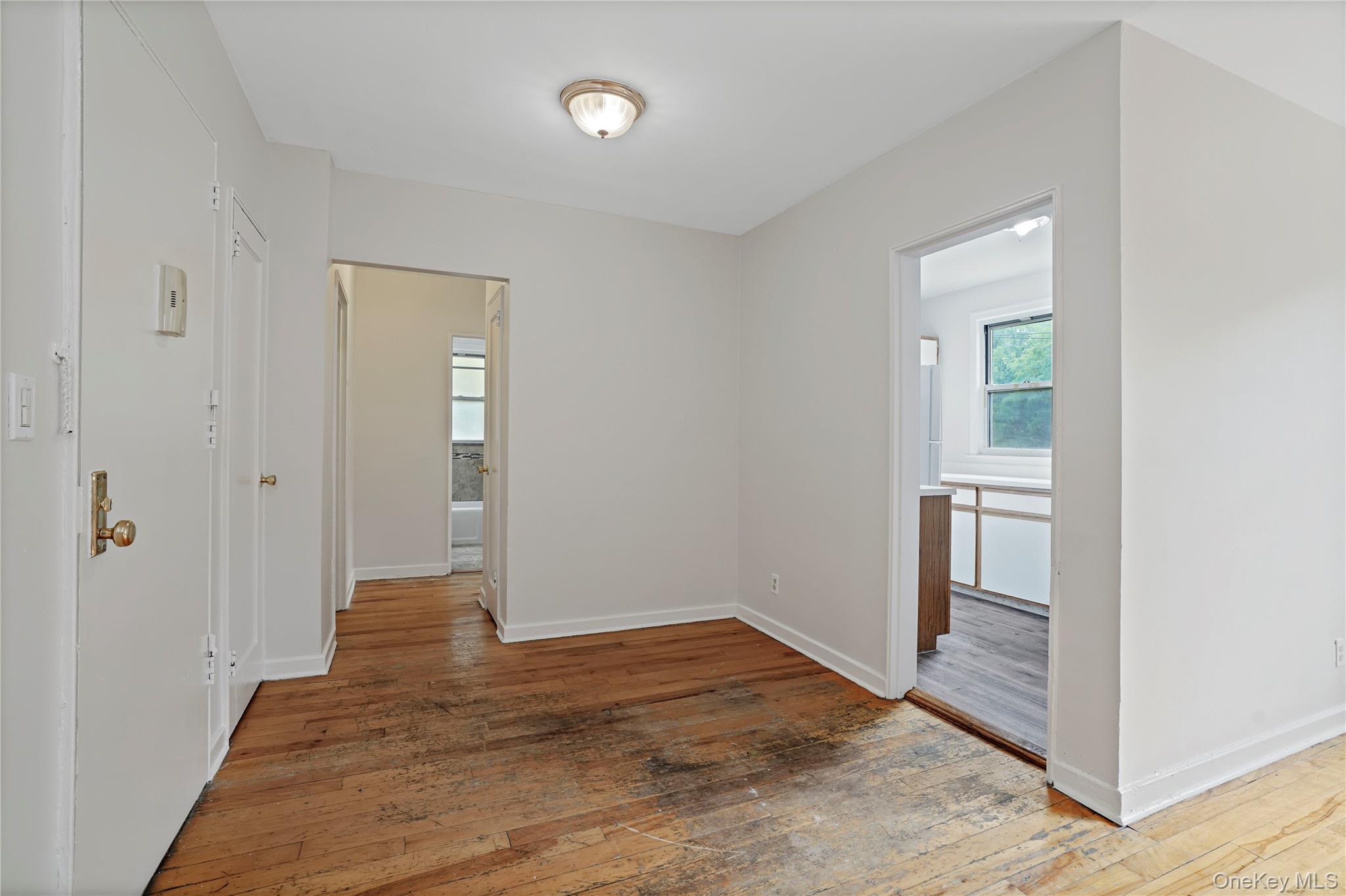 7 Winchester Avenue 2a Property Photo 6