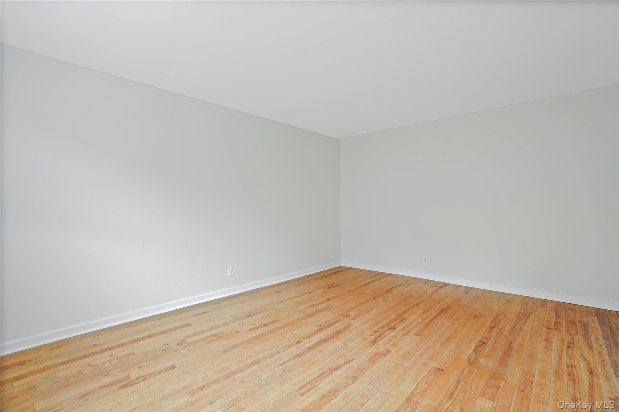 7 Winchester Avenue 2a Property Photo 9
