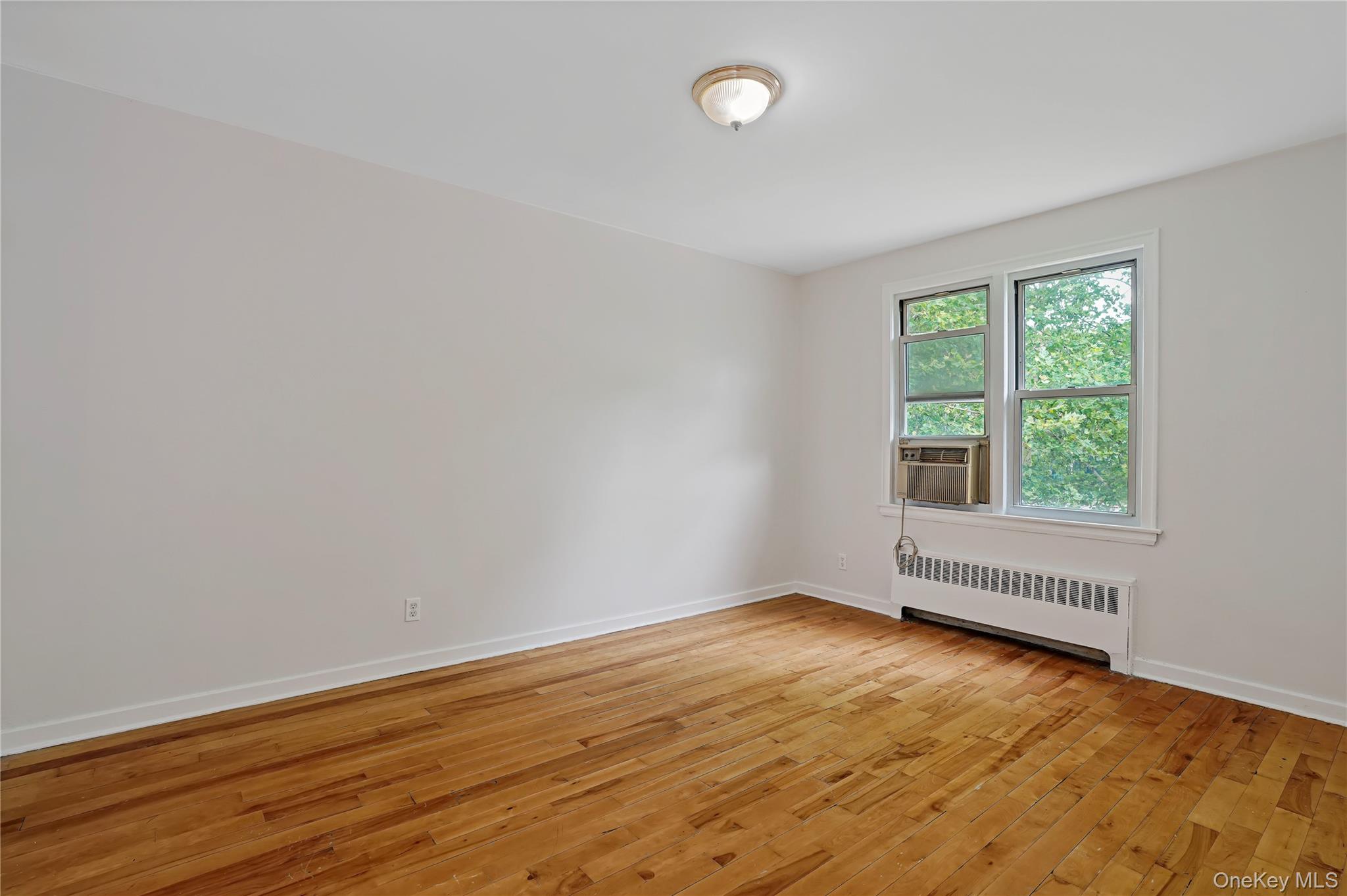 7 Winchester Avenue 2a Property Photo 13