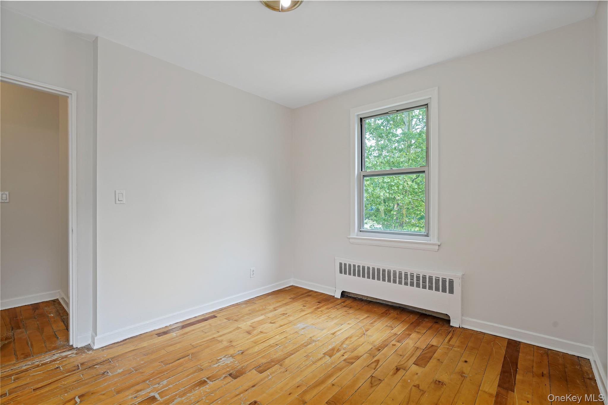 7 Winchester Avenue 2a Property Photo 19