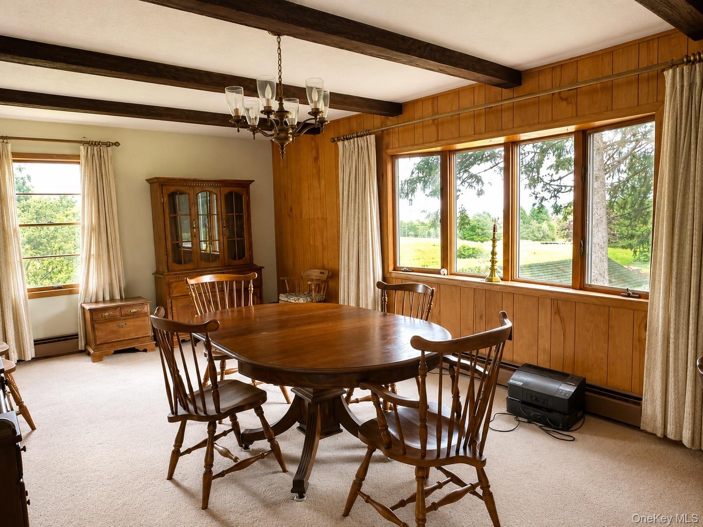 51 Shandelee Lake Road Property Photo 4