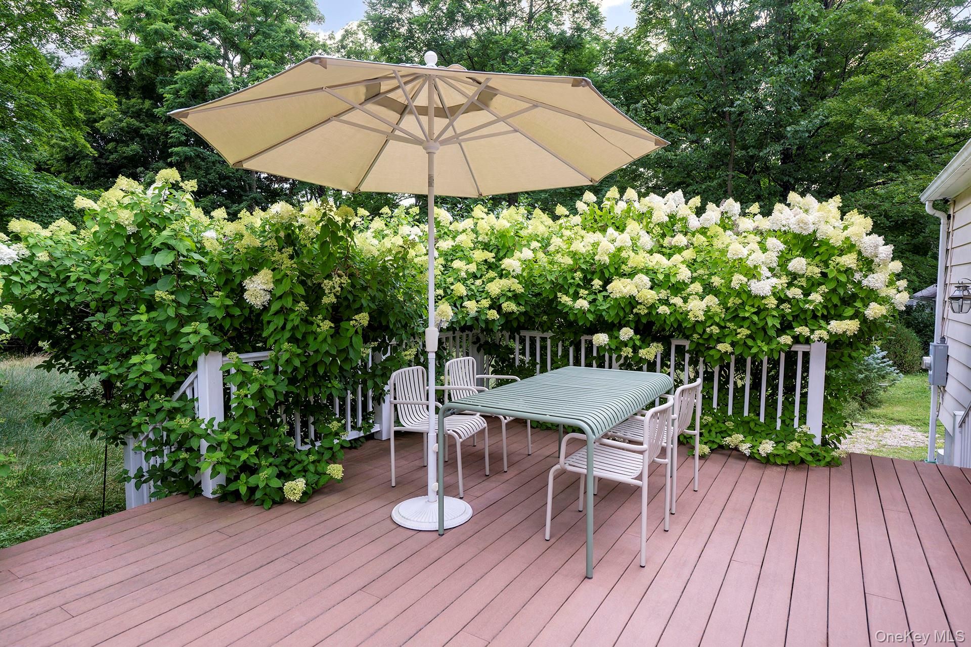 18 Highland Street Property Photo 4