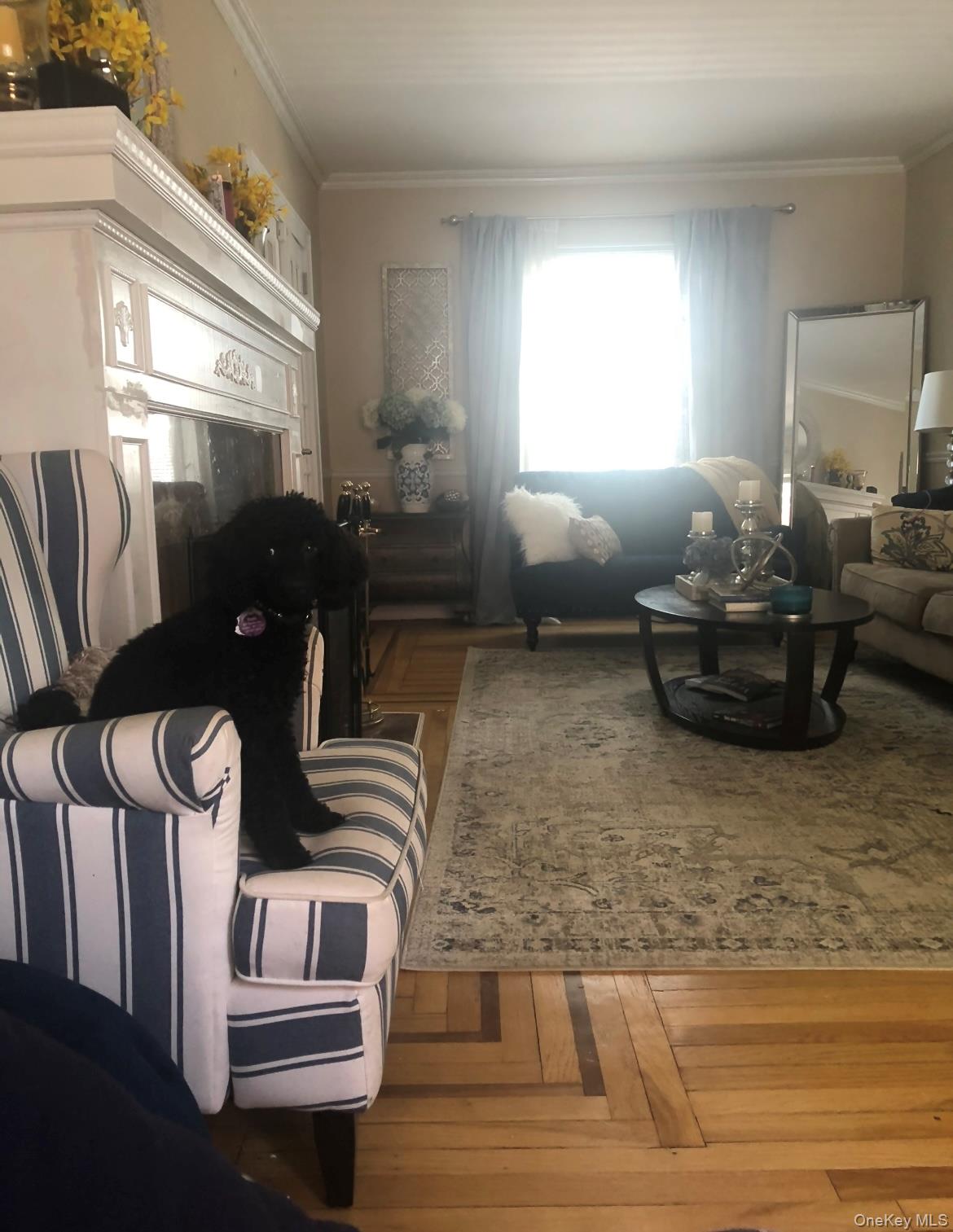 689 Stanton Avenue Property Photo 10