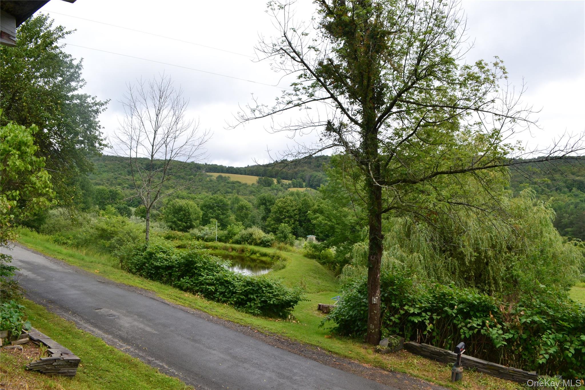 833 Biffar Road Property Photo 4