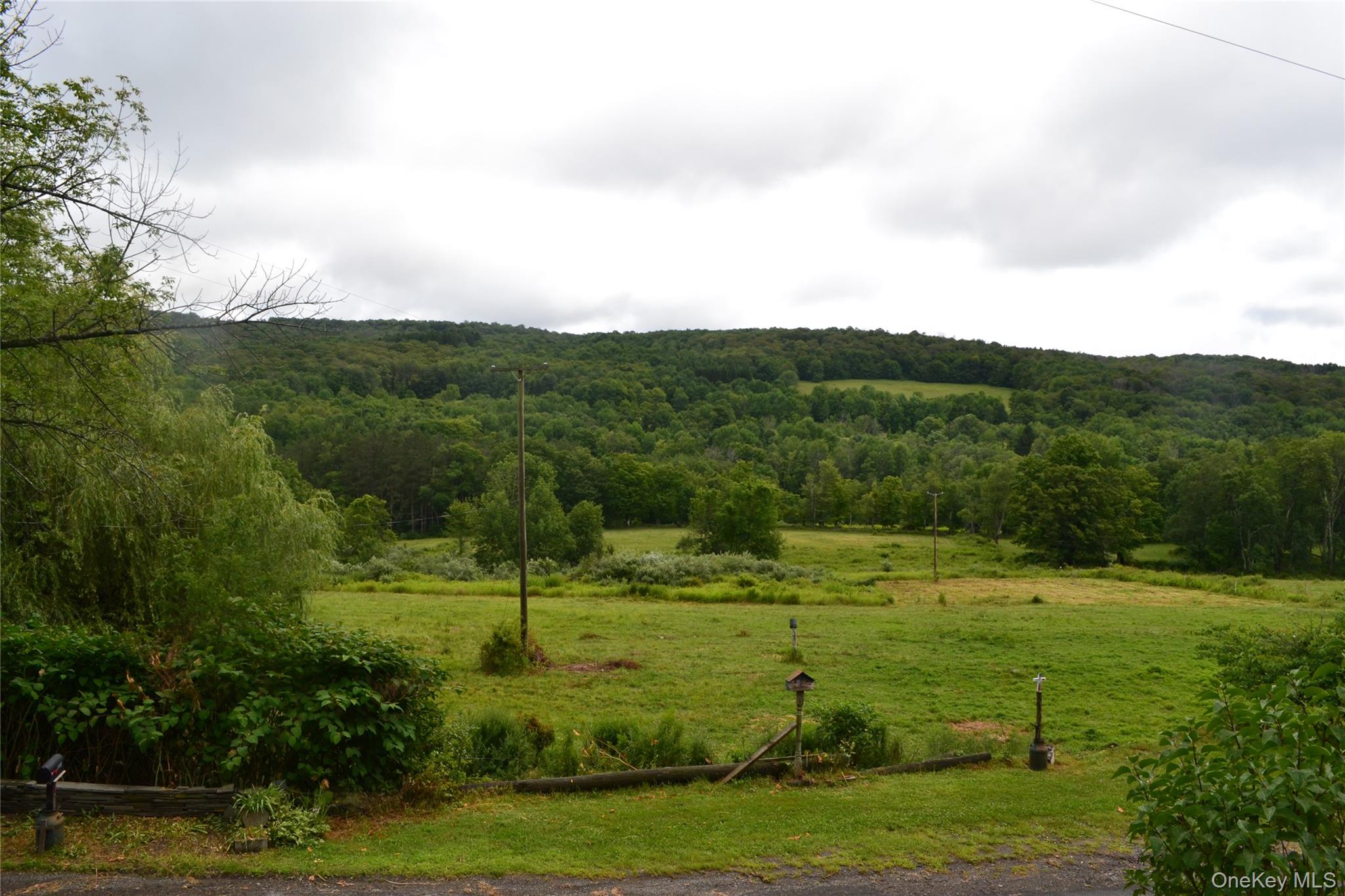 833 Biffar Road Property Photo 5