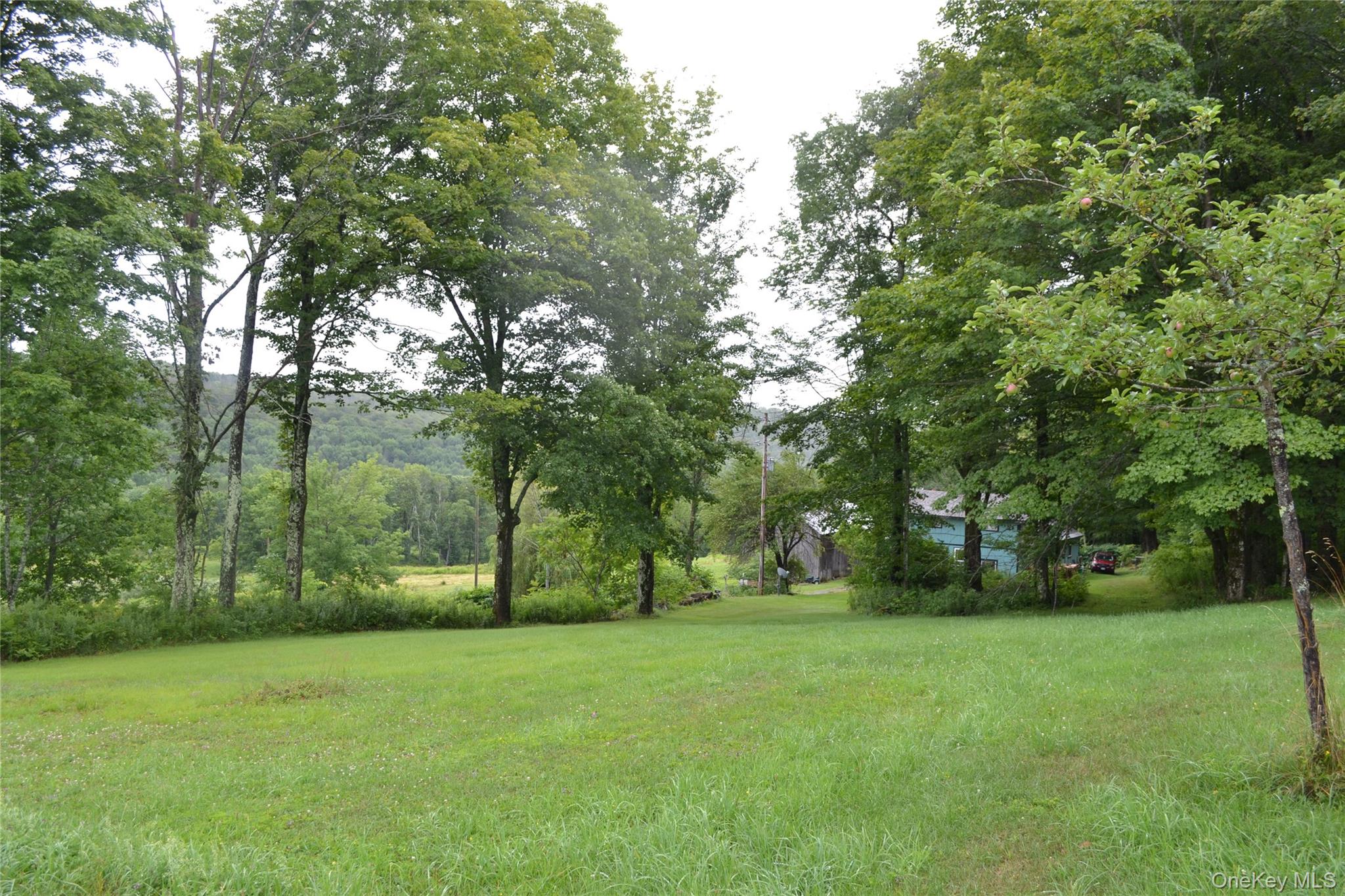 833 Biffar Road Property Photo 28