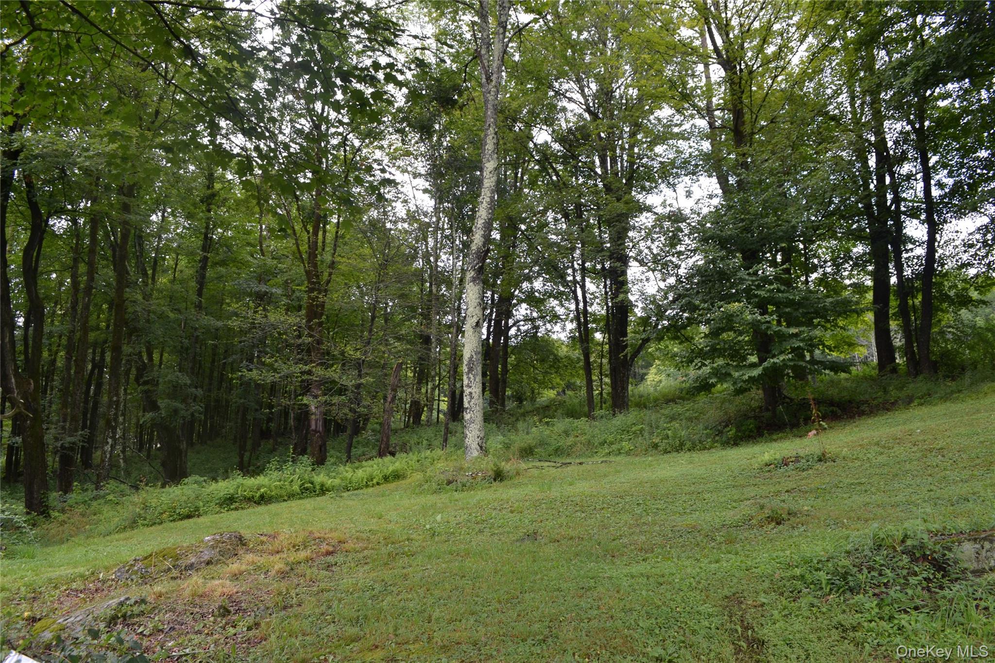 833 Biffar Road Property Photo 29