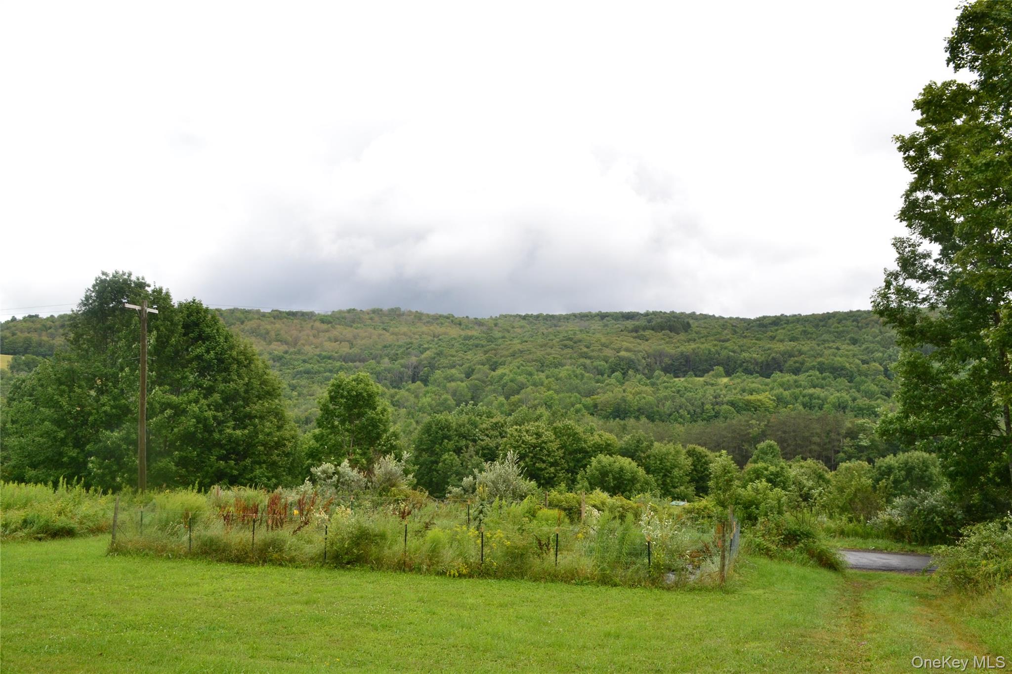 833 Biffar Road Property Photo 30