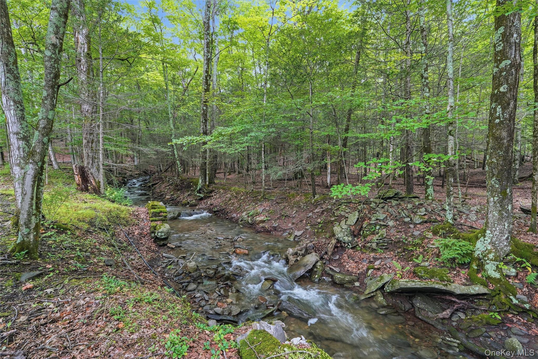 2320 Glasco Turnpike Property Photo 47