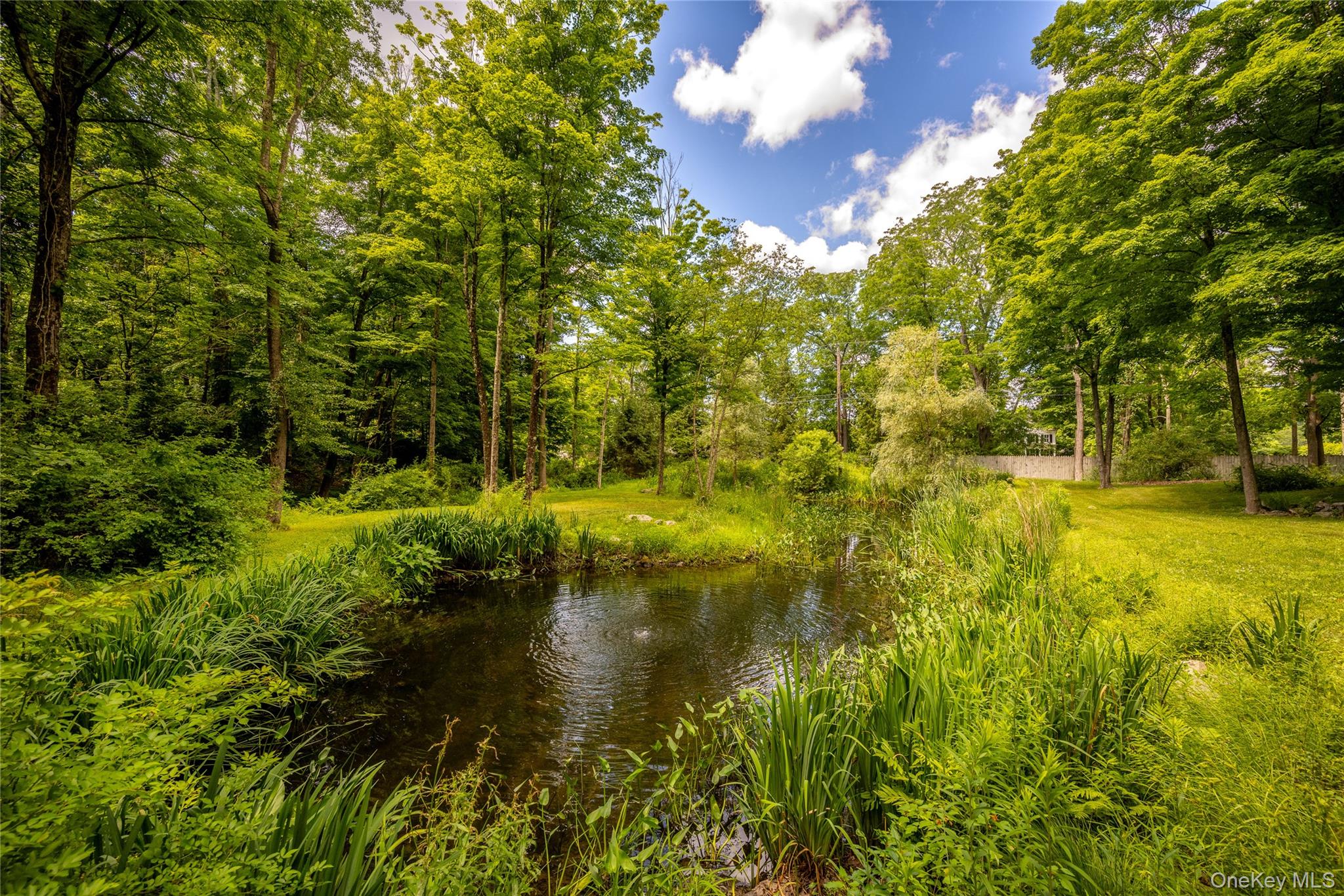 50 Field Road Property Photo 7