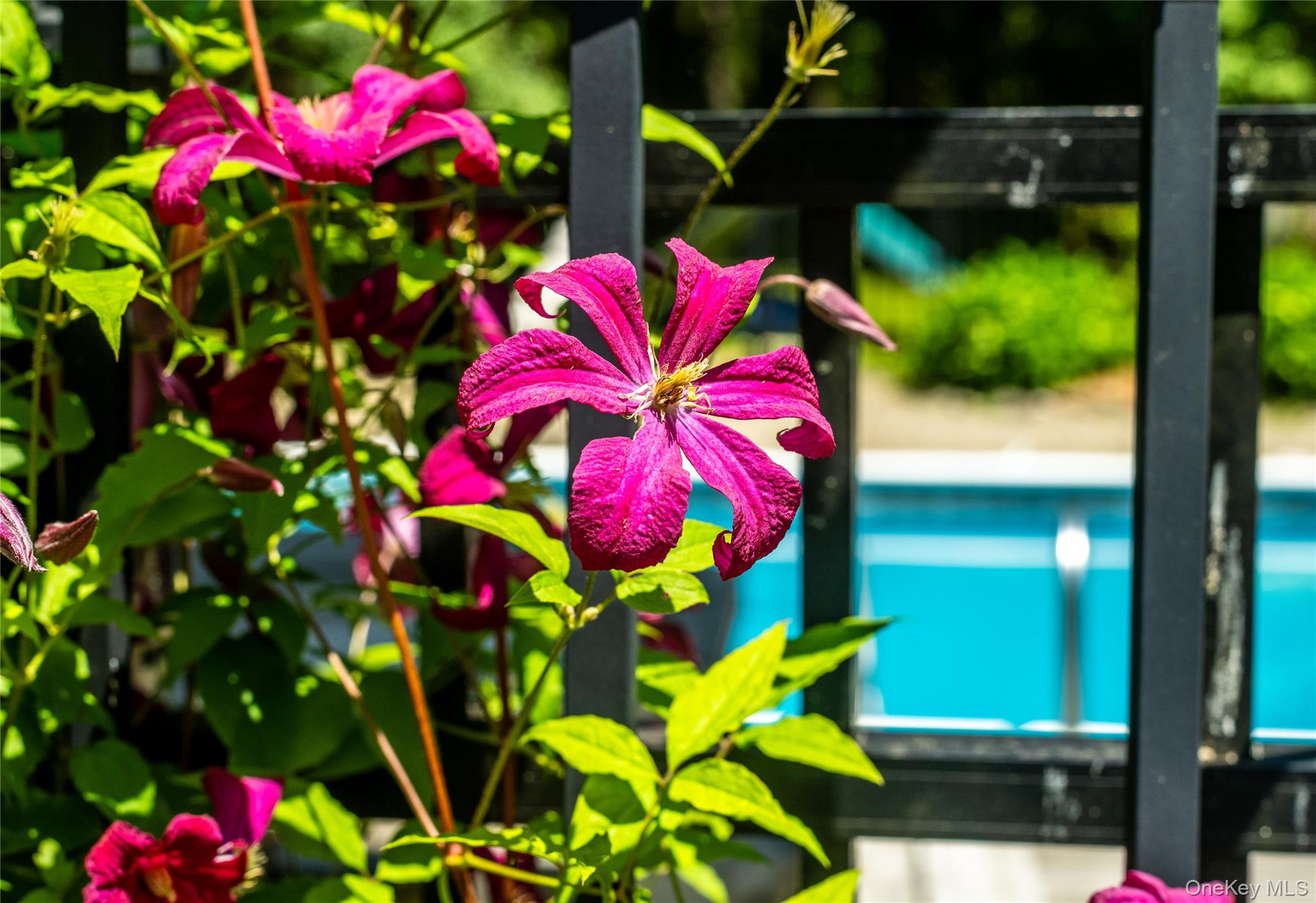 50 Field Road Property Photo 36