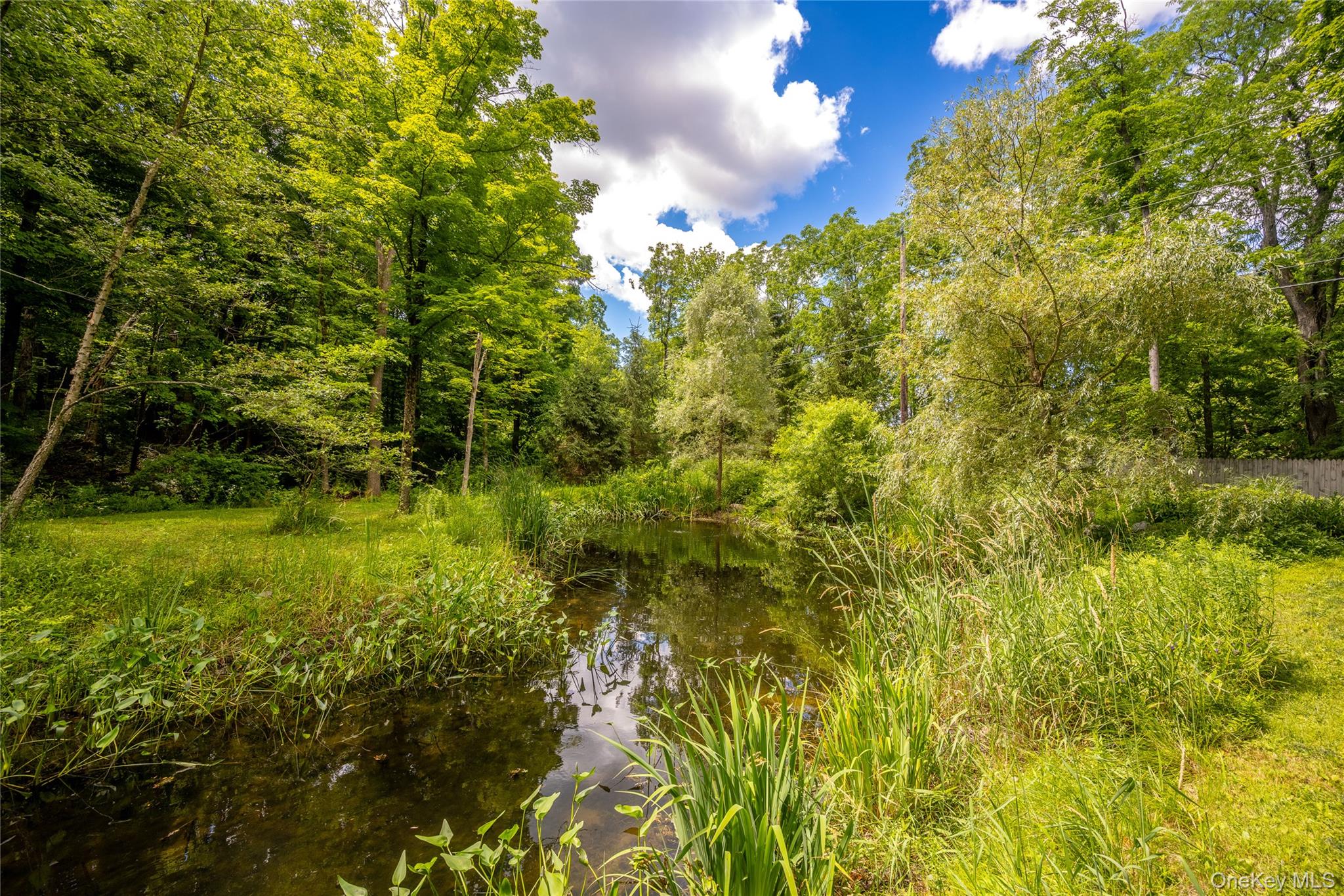 50 Field Road Property Photo 38