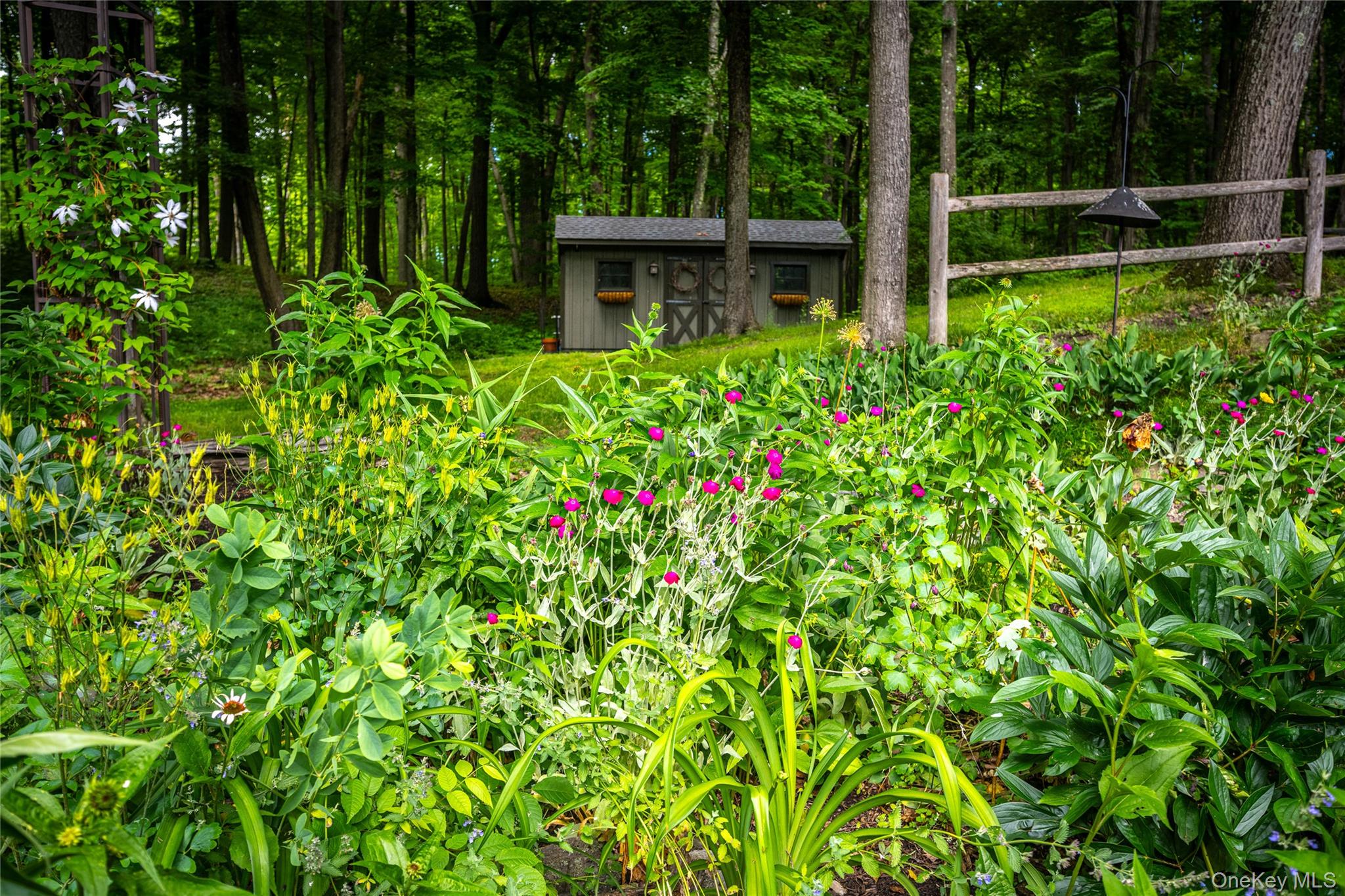 50 Field Road Property Photo 39
