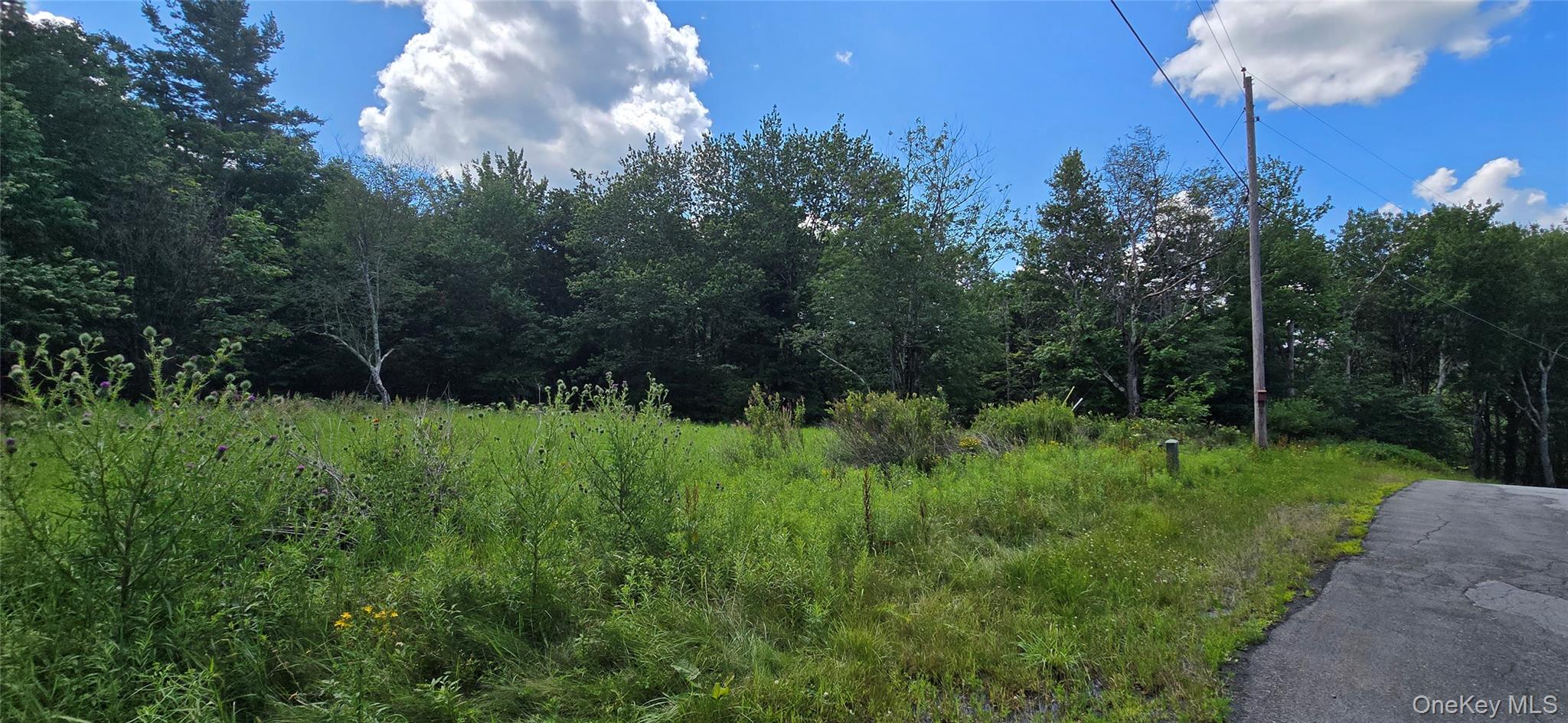 00 Red Hill Knolls Road Property Photo 8