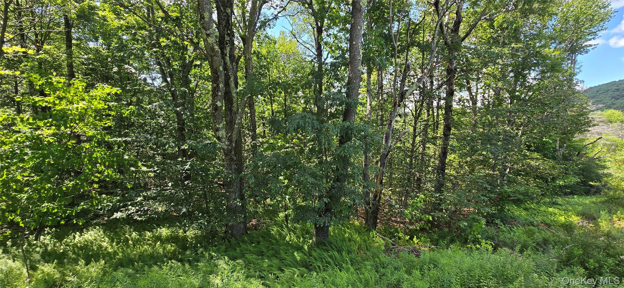 00 Red Hill Knolls Road Property Photo 13