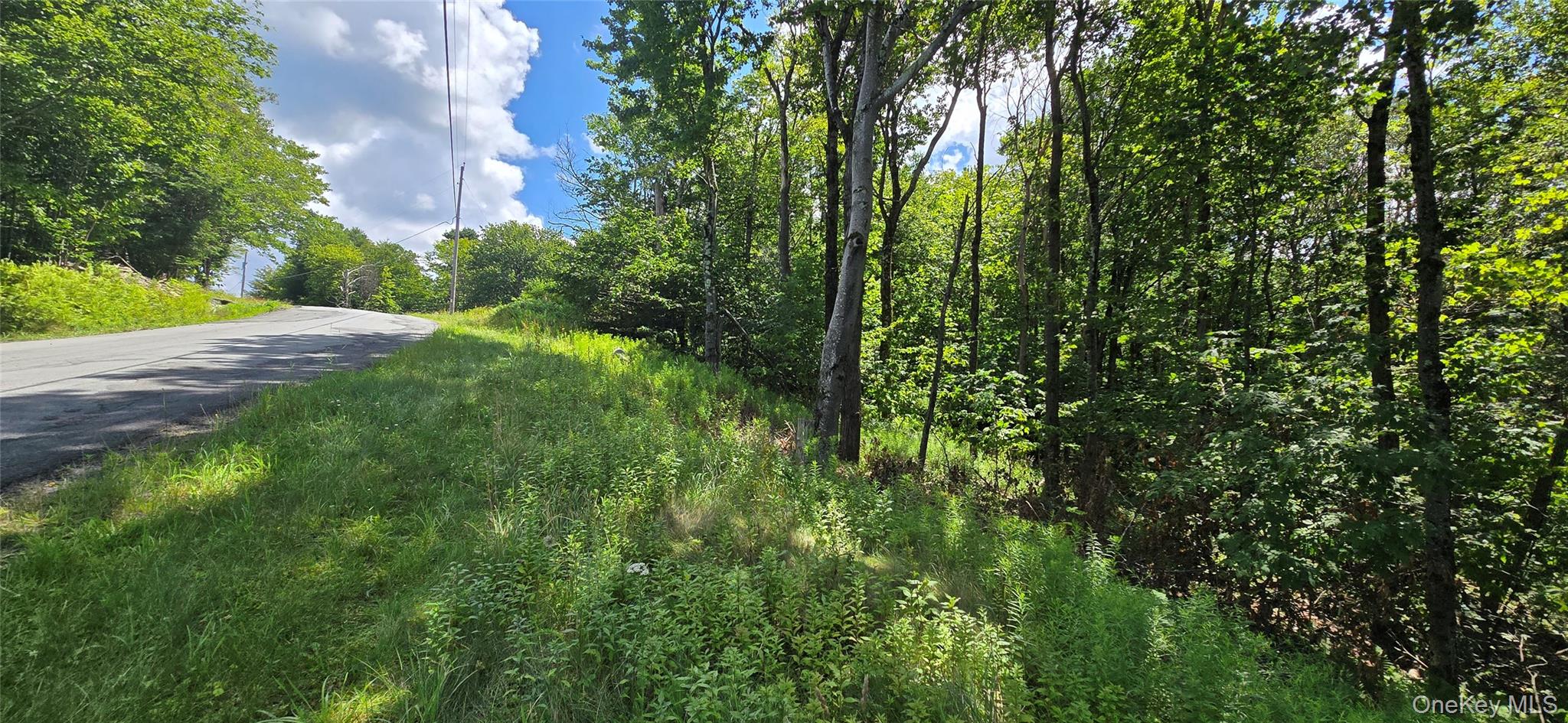 00 Red Hill Knolls Road Property Photo 14