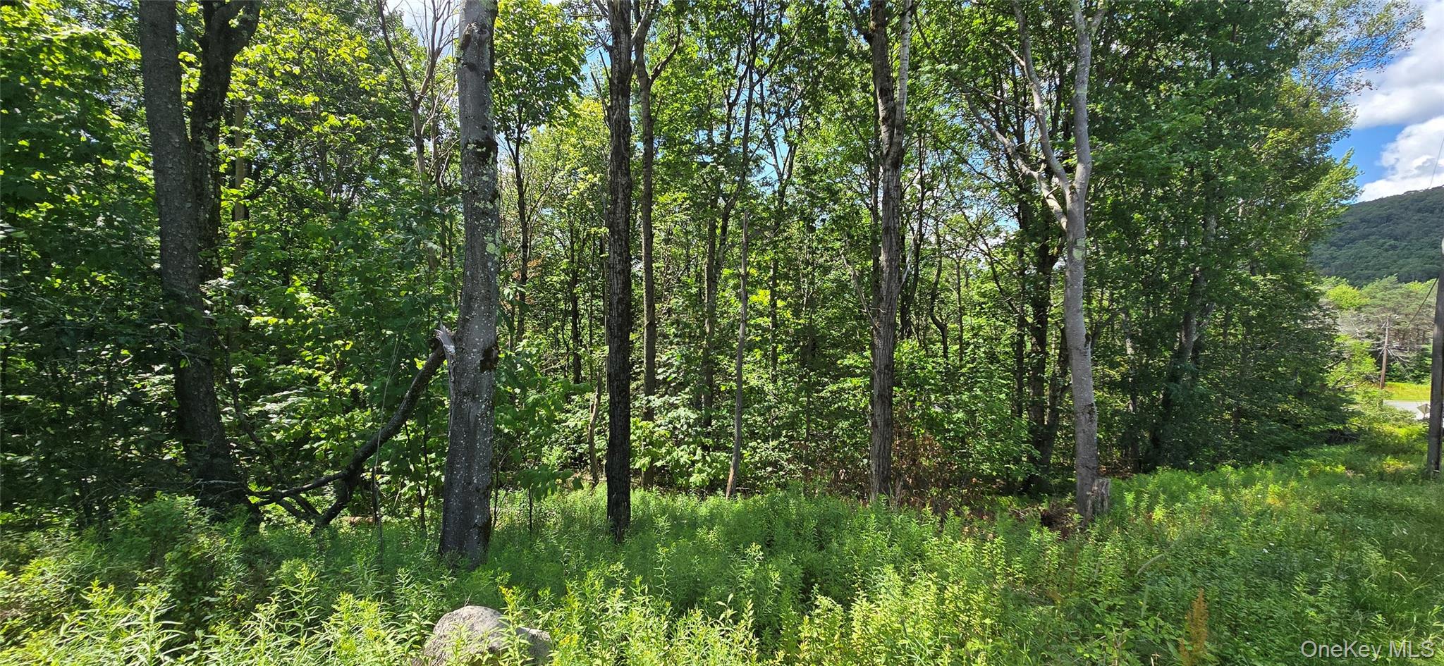 00 Red Hill Knolls Road Property Photo 15