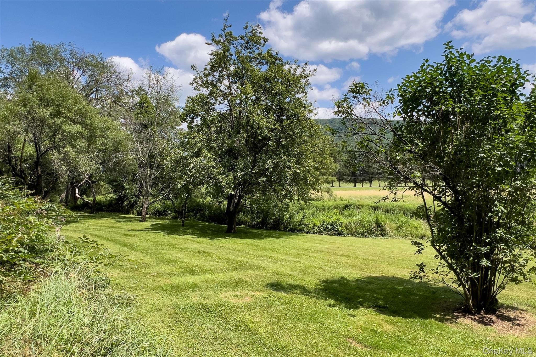 47220 State Highway 10 Property Photo 47