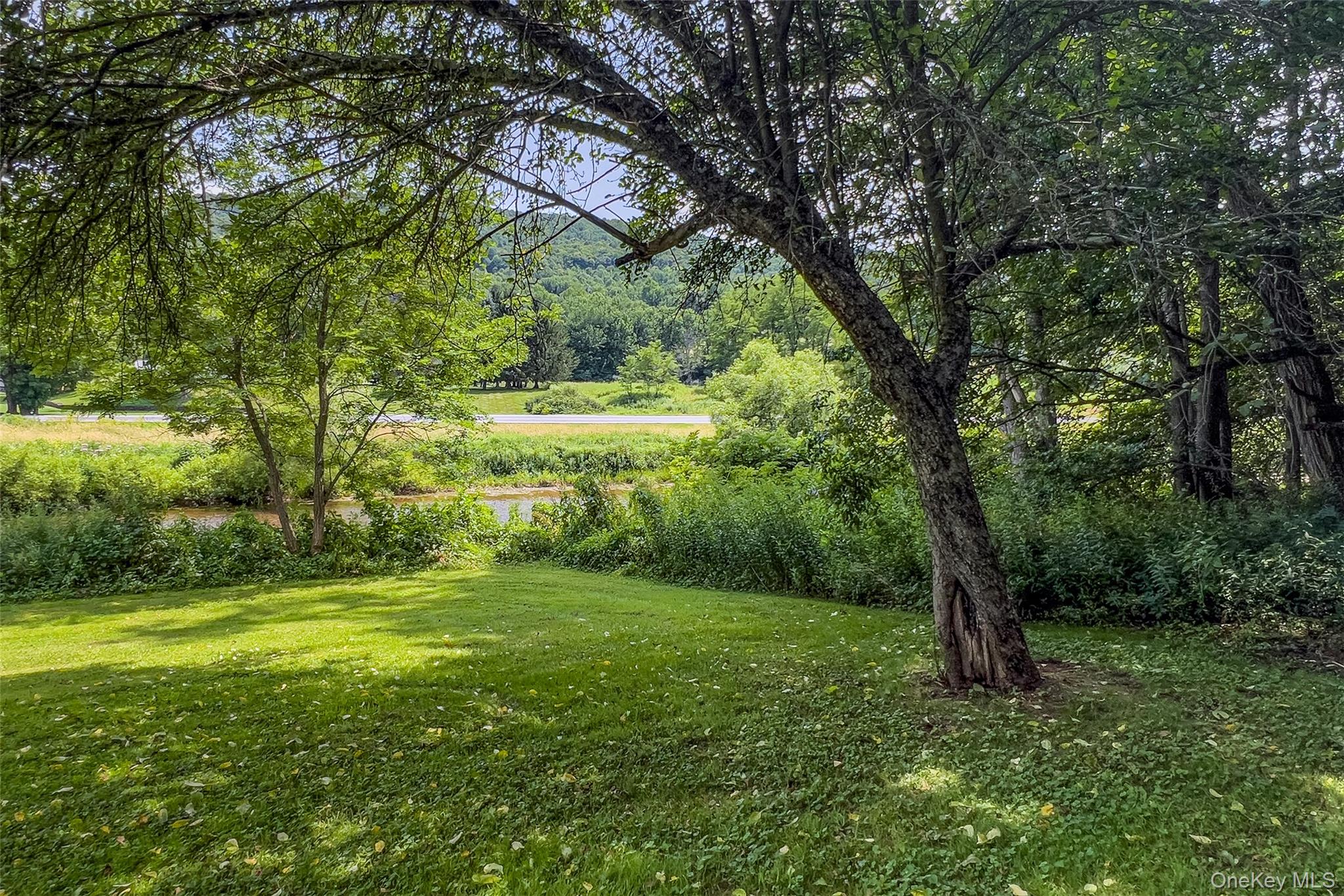 47220 State Highway 10 Property Photo 48