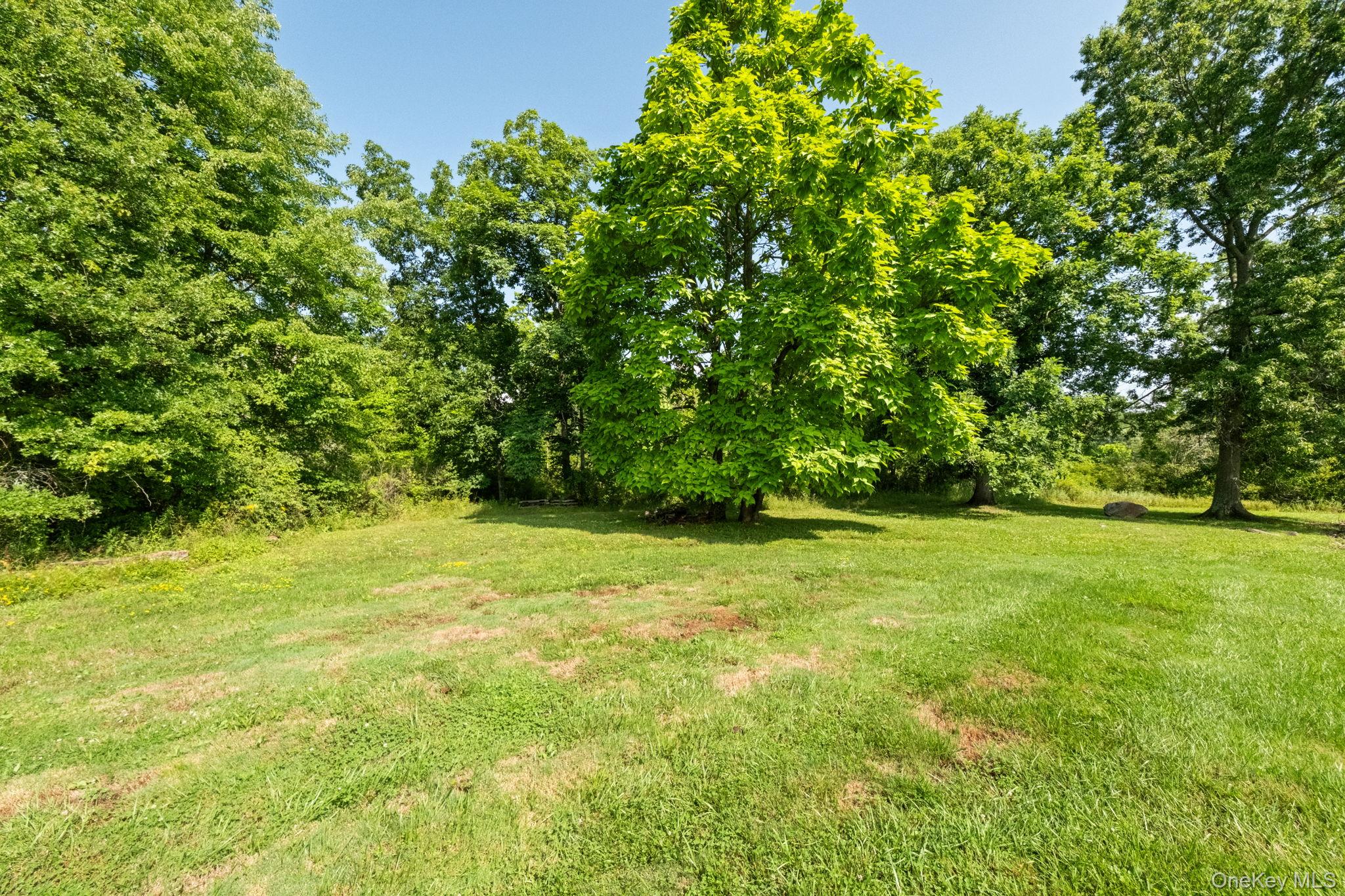 573 Dubois Road Property Photo 35