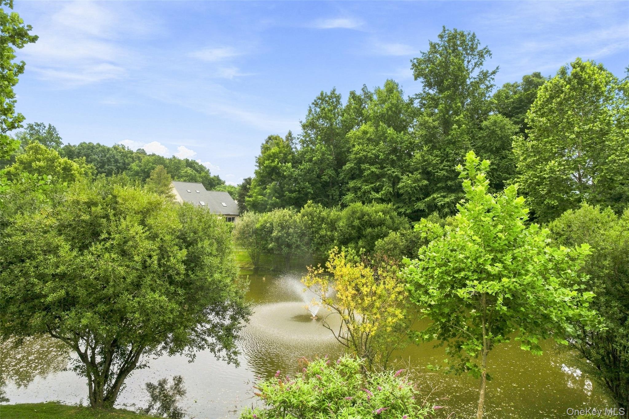 165 Underhill Lane Property Photo 45