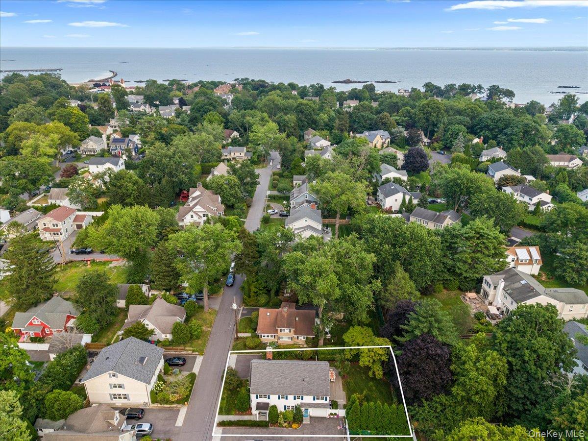 23 Fairlawn Street Property Photo 34