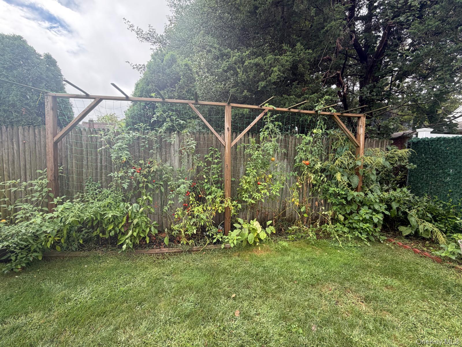 148 Canterbury Road Property Photo 28