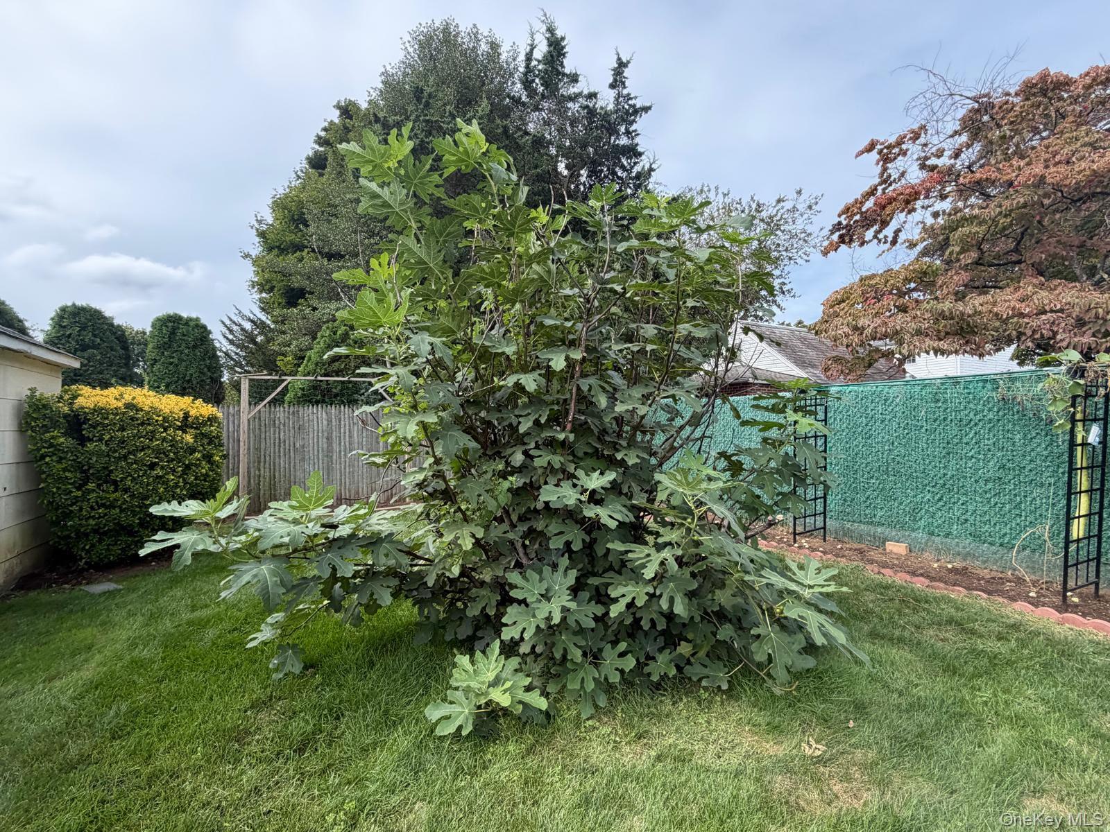 148 Canterbury Road Property Photo 34