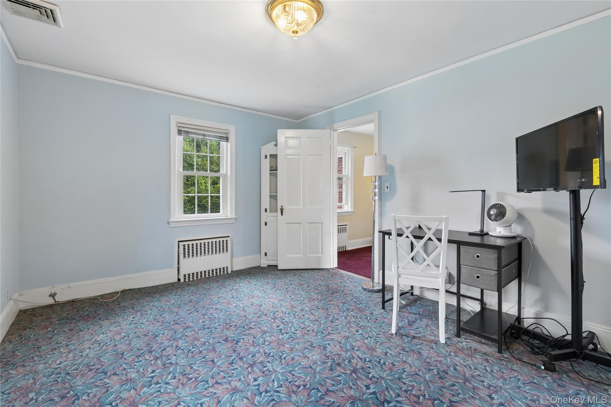 23 Westminster Road Property Photo 41