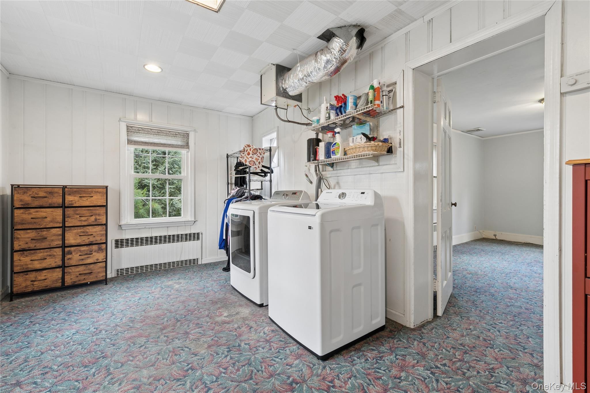 23 Westminster Road Property Photo 42