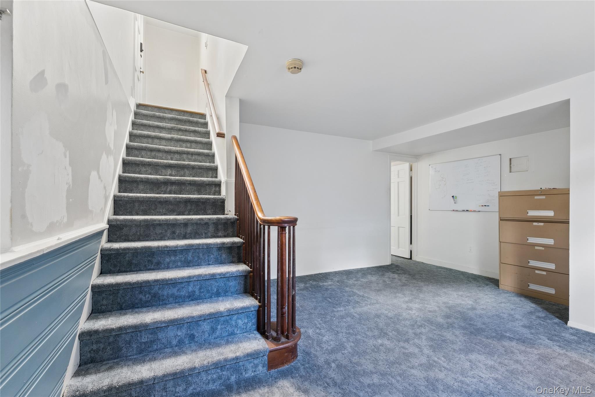 23 Westminster Road Property Photo 44