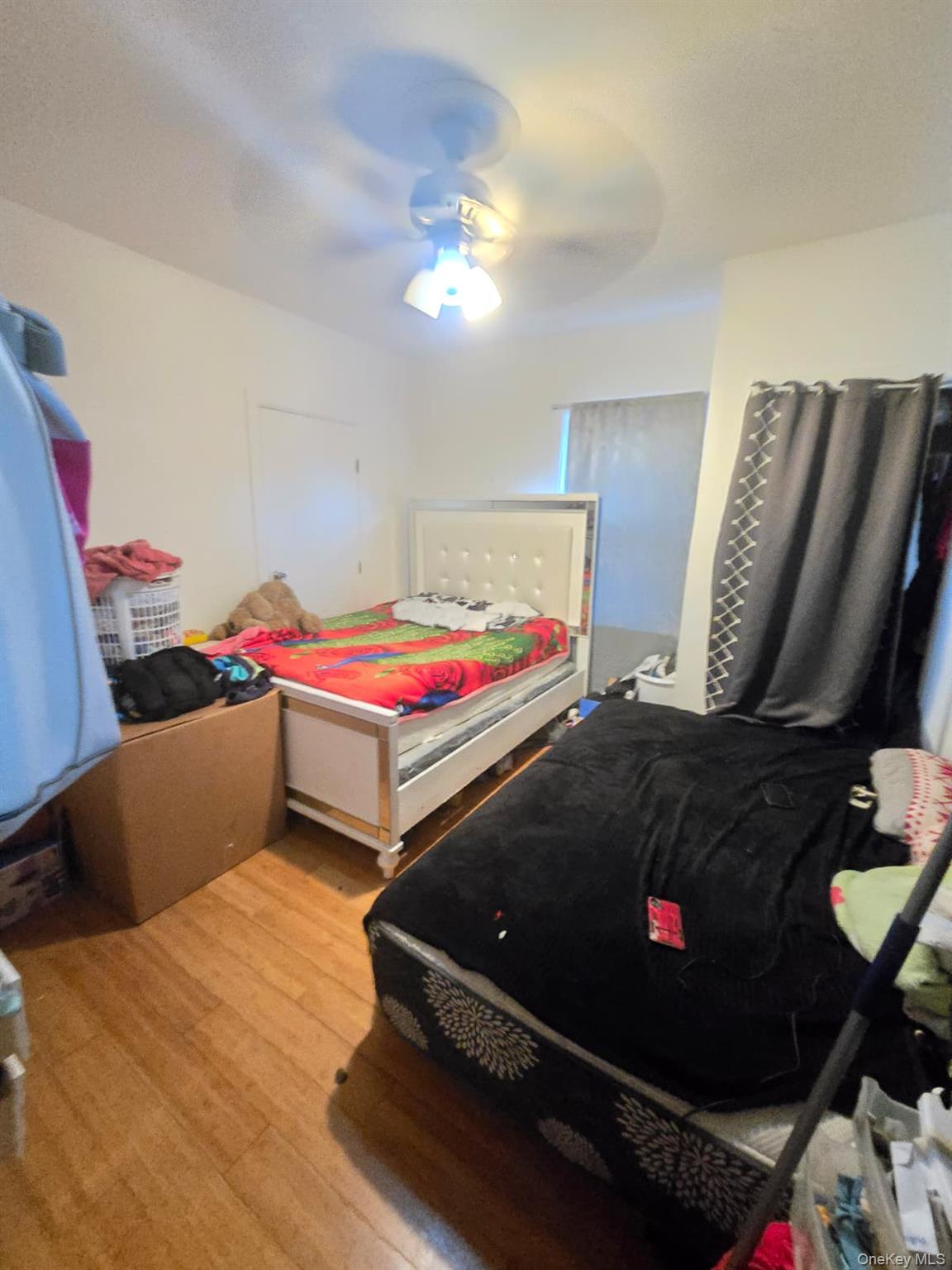 25 Webb Avenue Property Photo 11