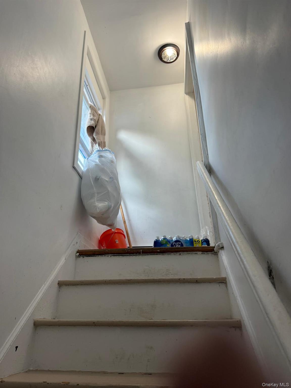 25 Webb Avenue Property Photo 16