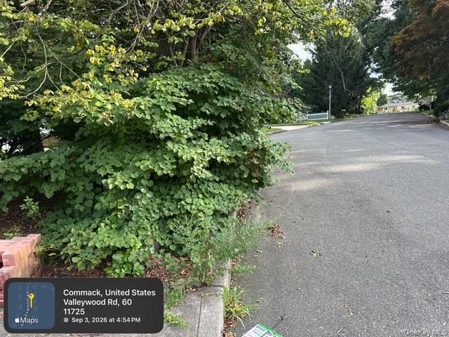 60 Valleywood Road Property Photo 9