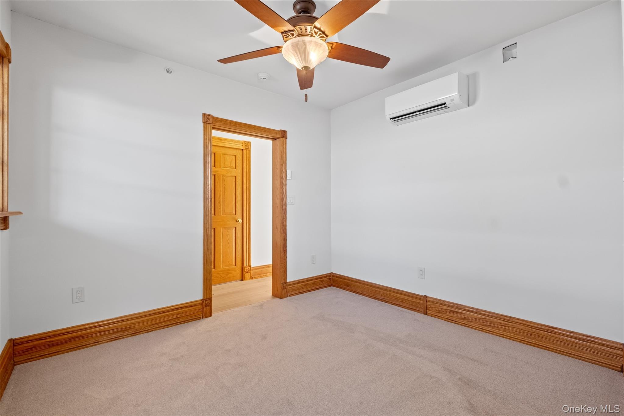 43 Ackerman Street 2 Property Photo 15