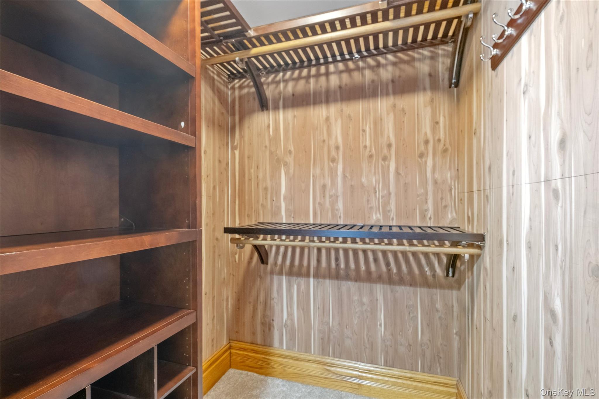 43 Ackerman Street 2 Property Photo 18