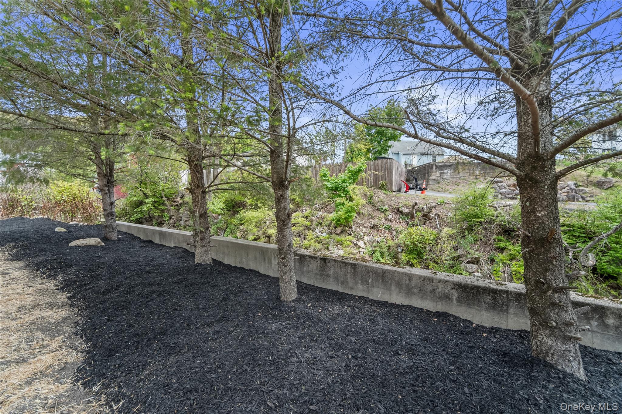 11 Mearns Avenue Property Photo 39