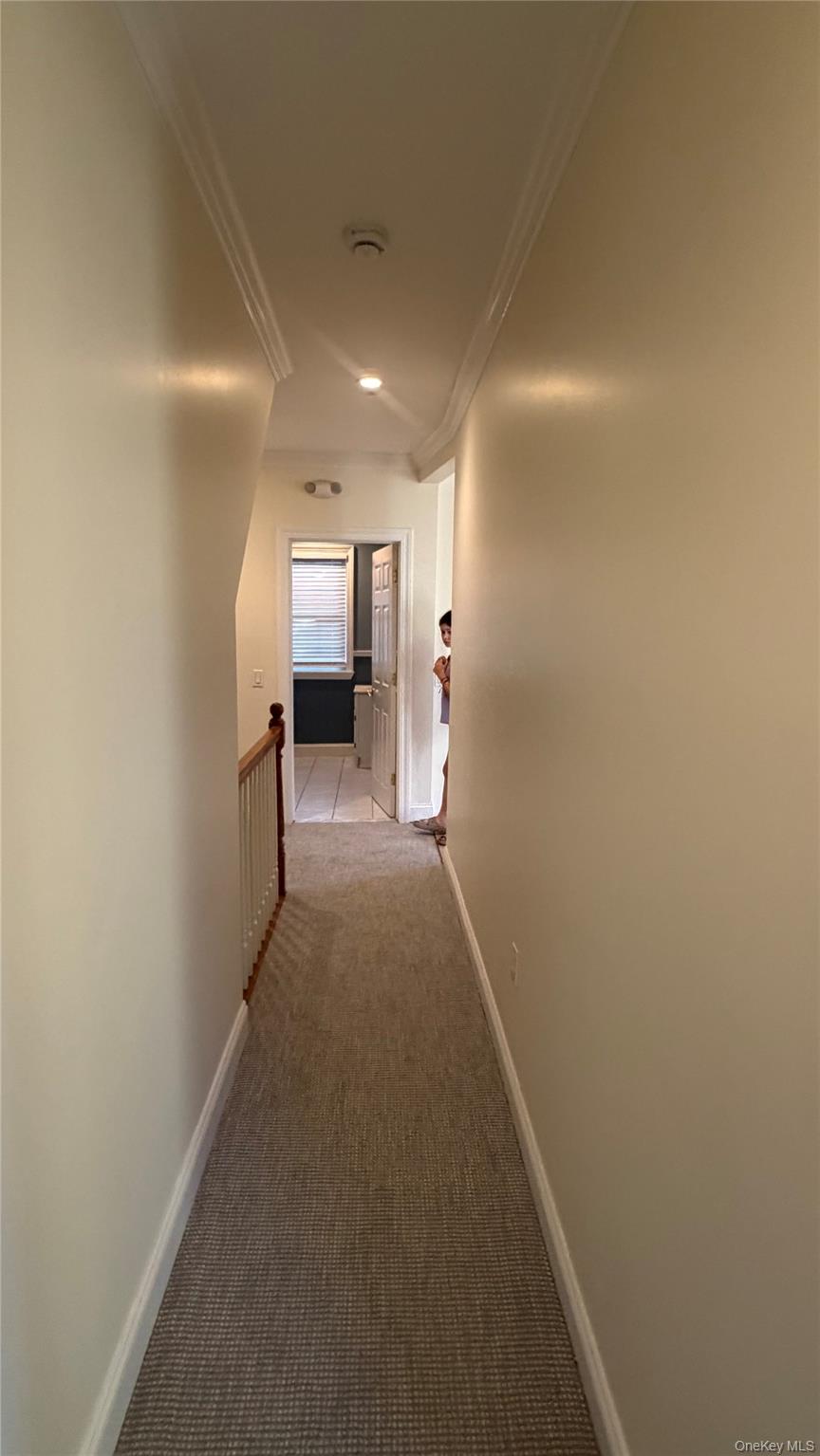 63 Harding Avenue 2 Property Photo 14
